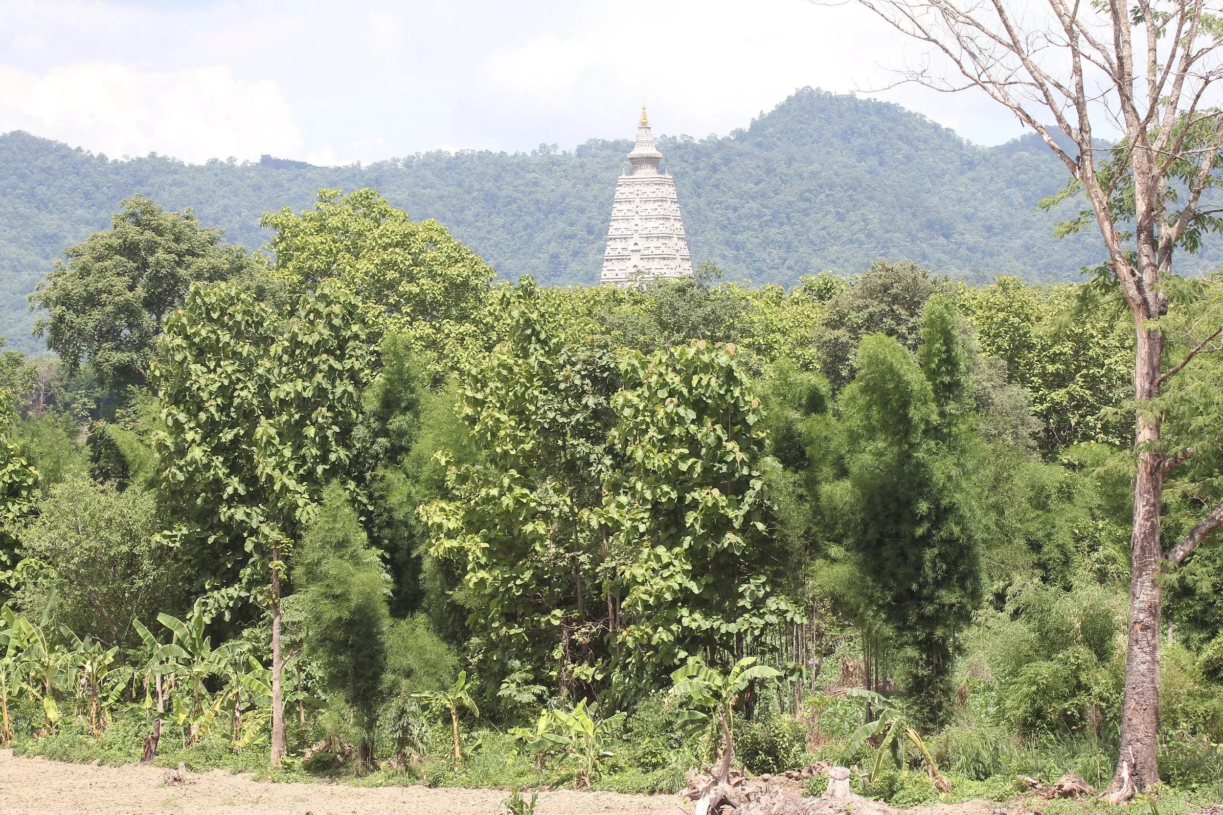2020 29 June Amphur Ngao Lampang North Thailand Road Trip (62).JPG