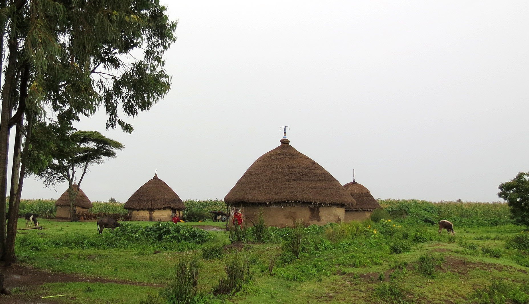 SENKELE SANCTUARY ETHIOPIA (73).JPG