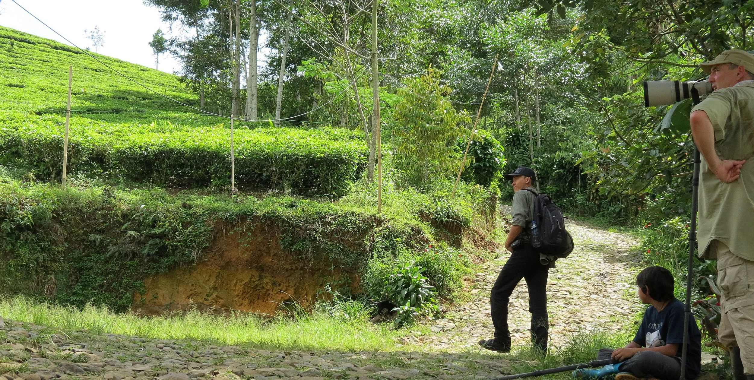 HALIMUN  NATIONAL PARK - JAVA BARAT INDONESIA (17).JPG
