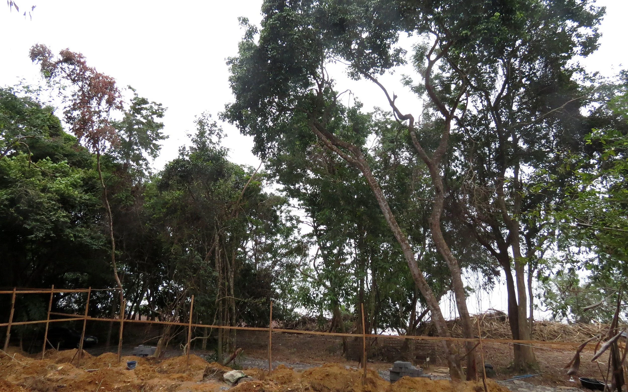 2014 Koh Lanta Build (146).JPG