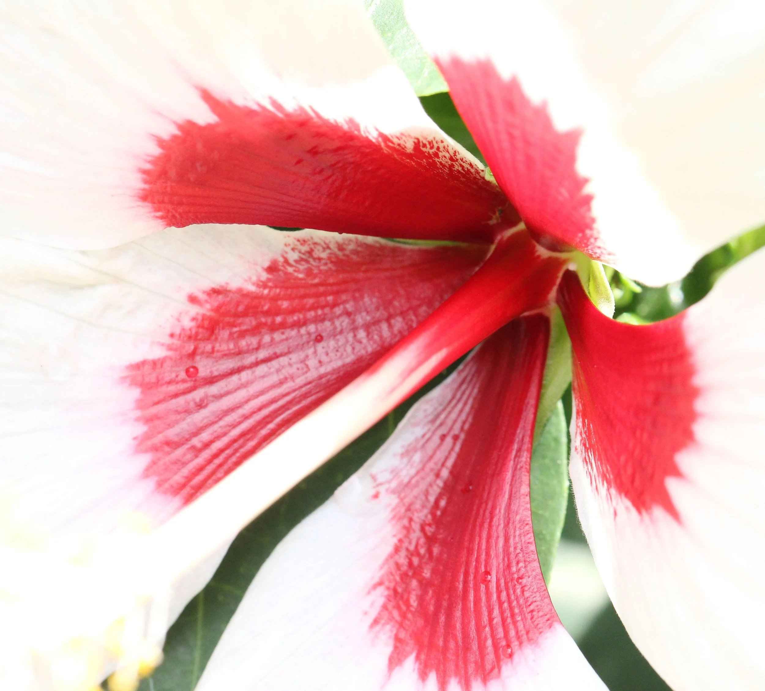 2015 Koh Lanta October Break Trip  (101).JPG