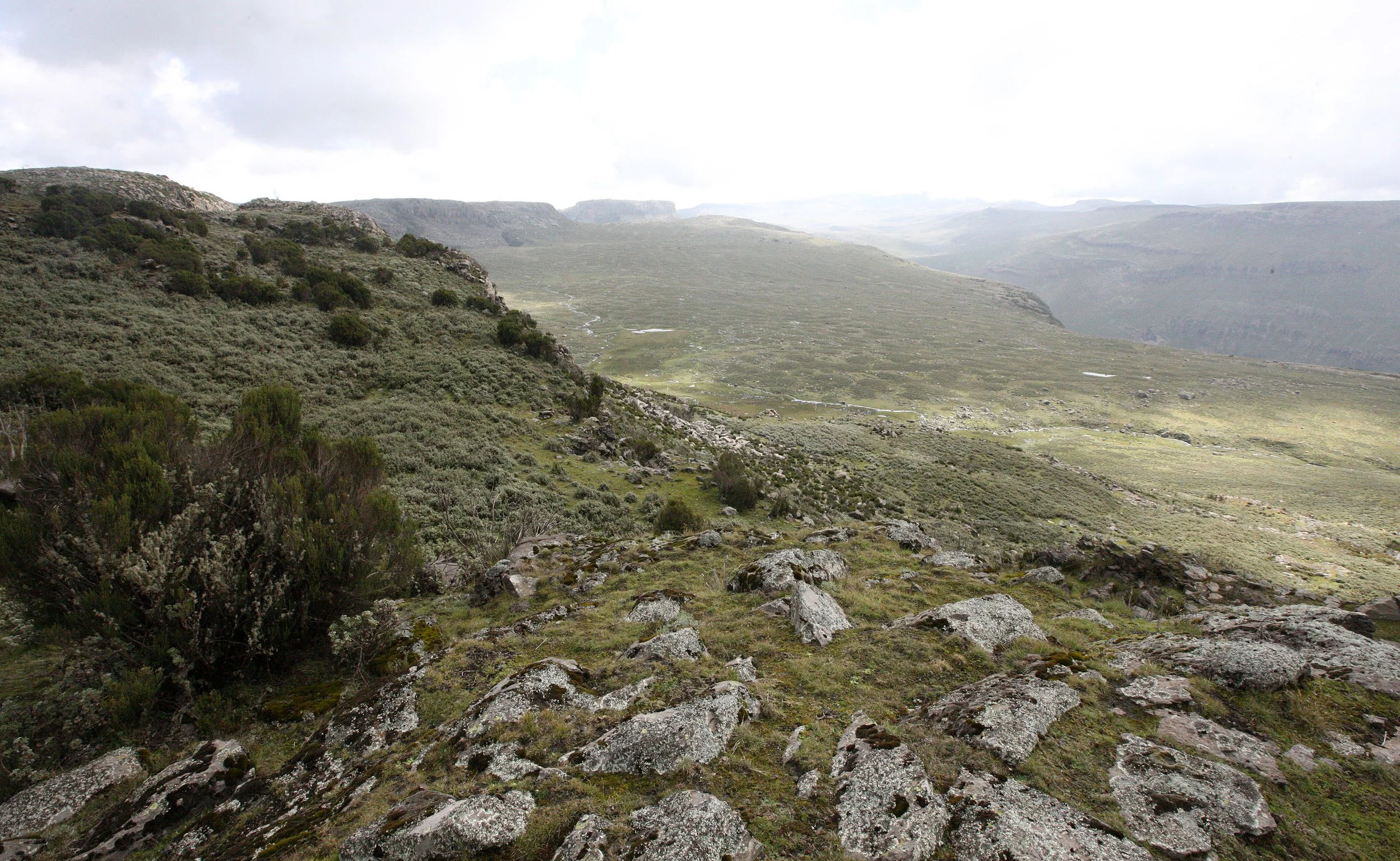BALE MOUNTAINS NATIONAL PARK - SANETTI PLATEAU (39).JPG