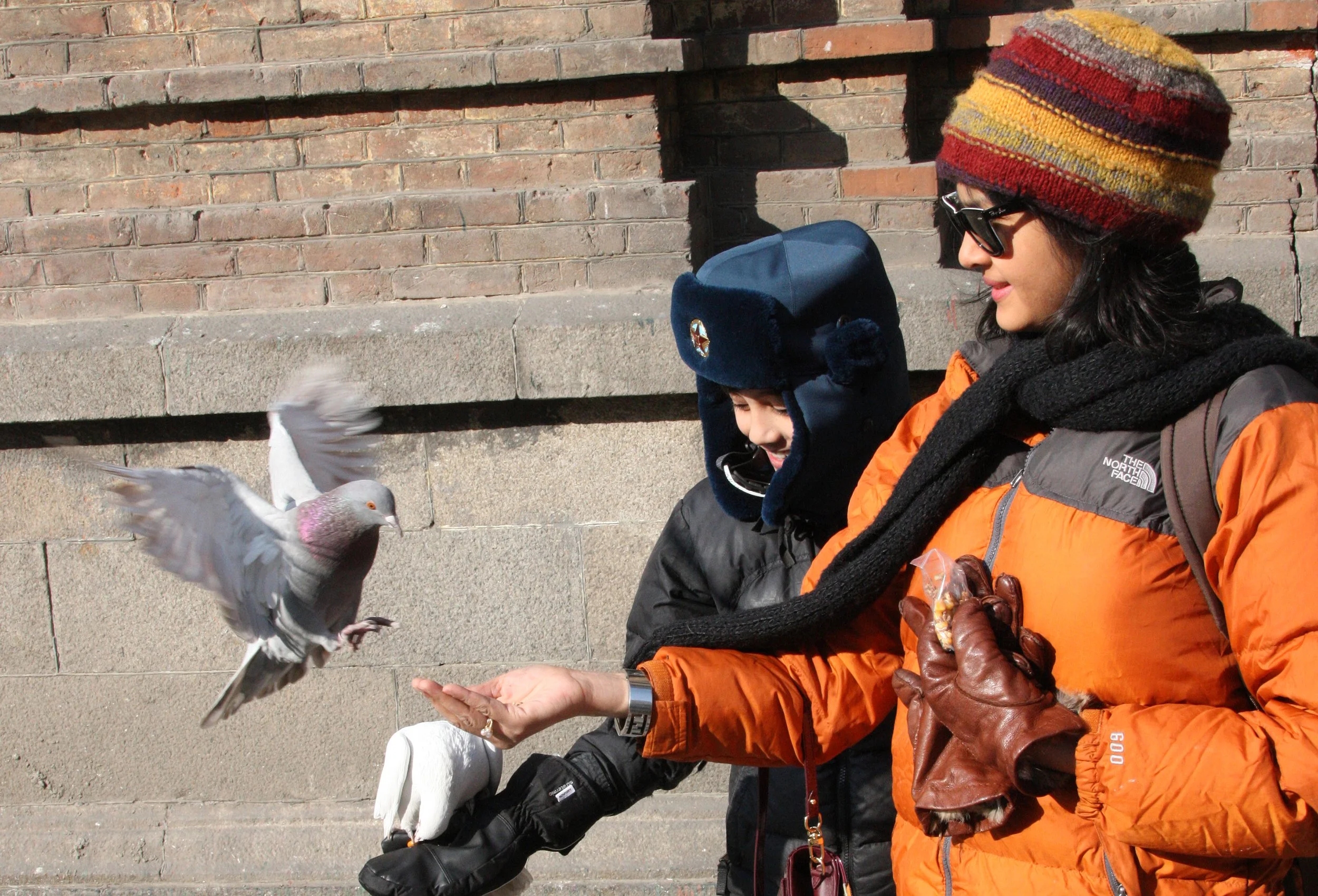 BIRD - PIGEON - HARBIN SAINT SOPHIA'S CATHEDRAL CHINA (32).JPG