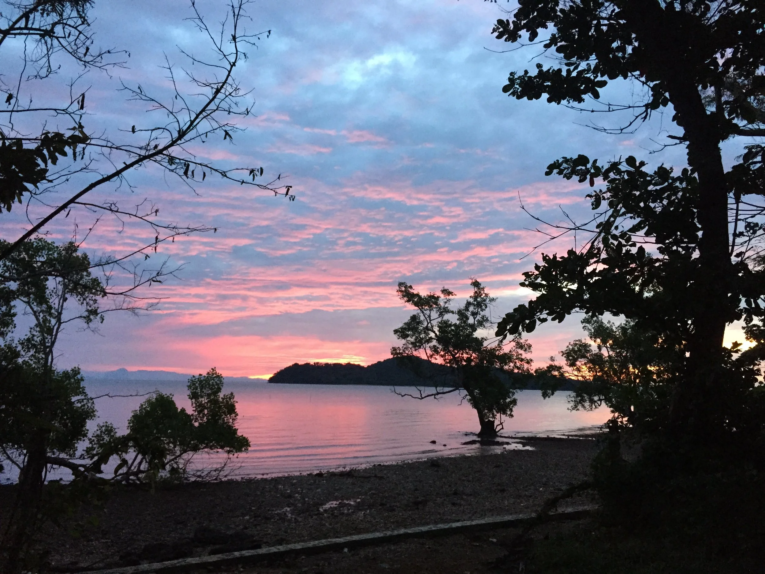 2015 Koh Lanta Garden & Nature (292).JPG