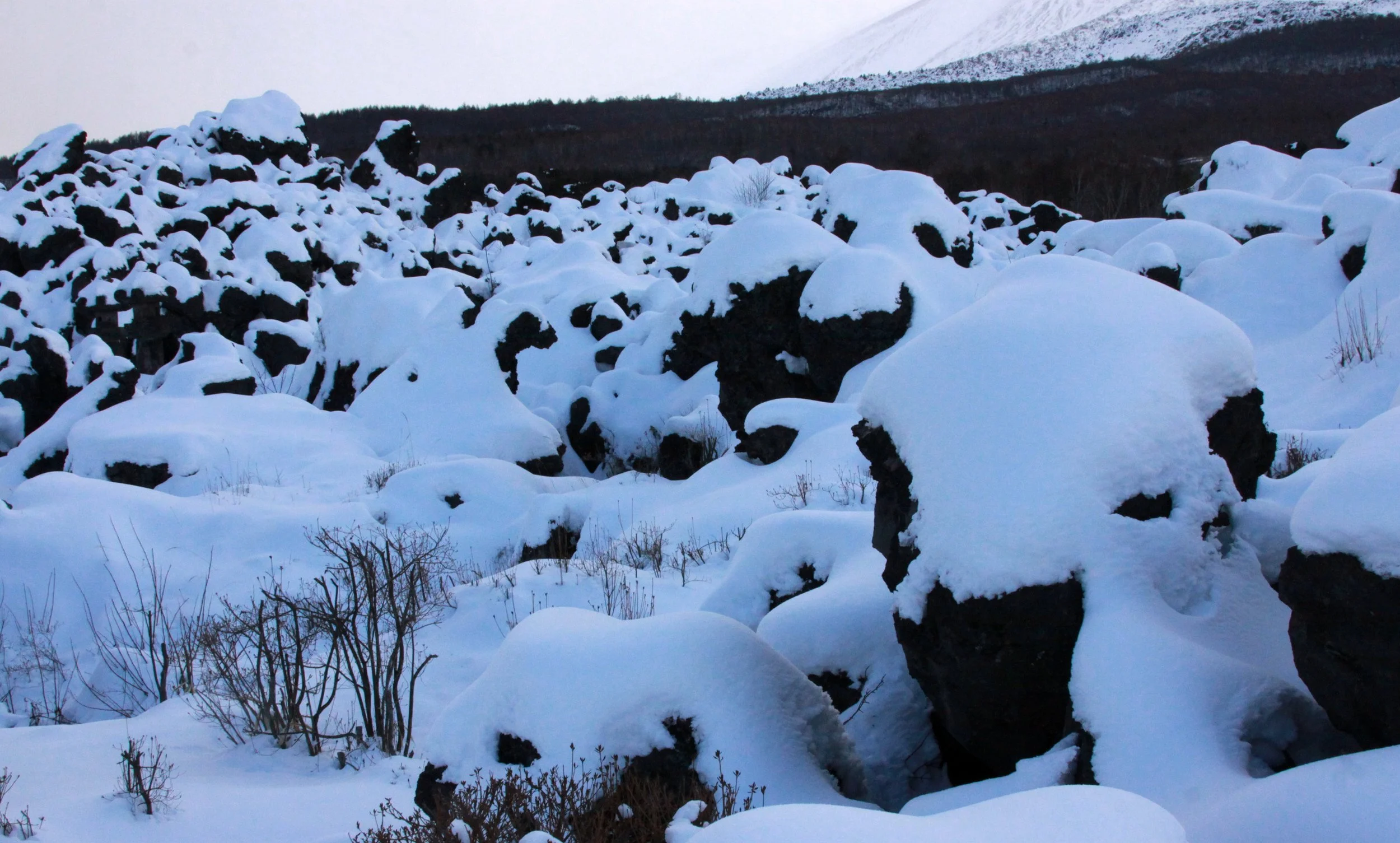 MOUNT ASAMA - JOSHIN'ETSUKOGEN NATIONAL PARK JAPAN (76).JPG
