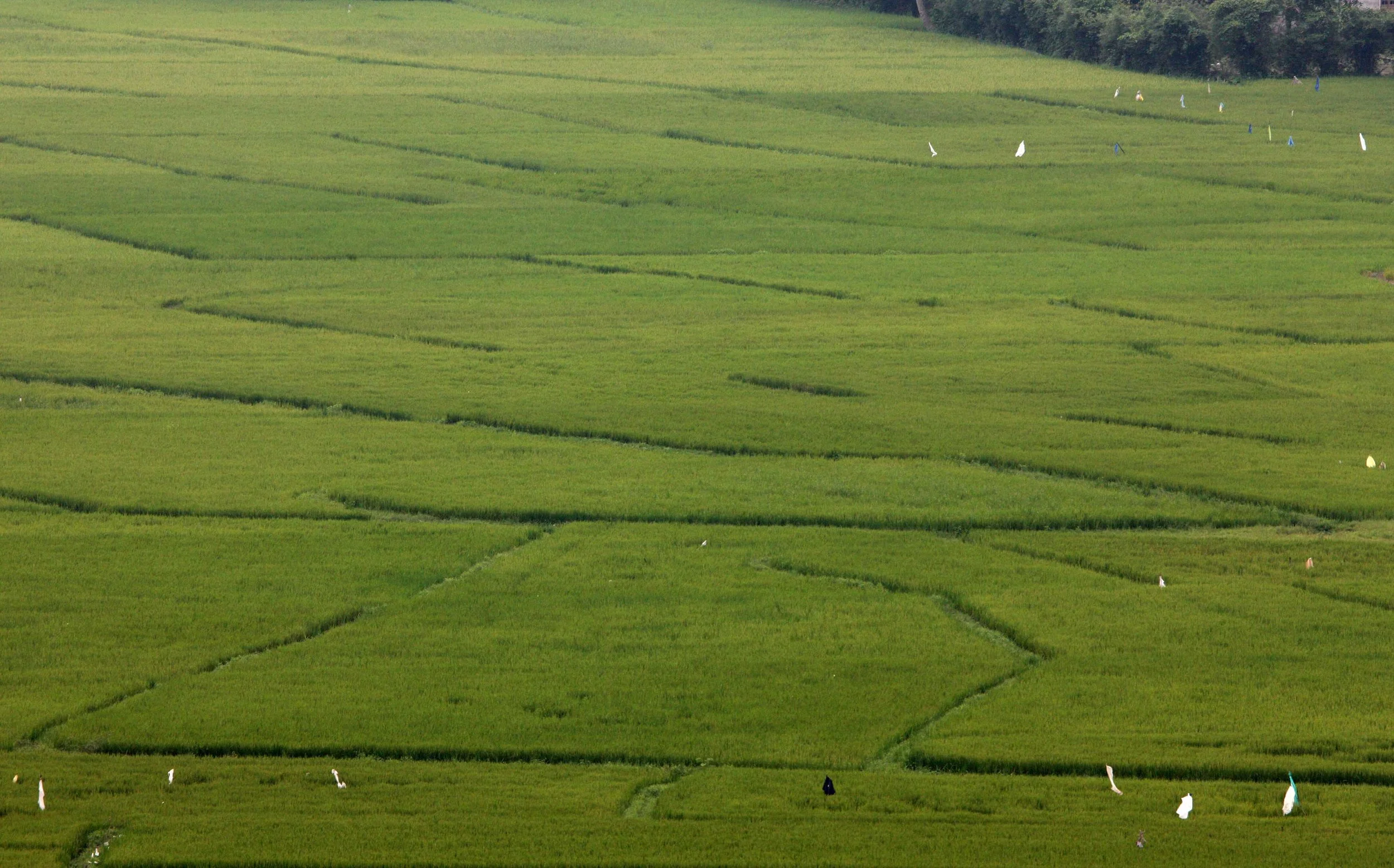 BACH MA NATIONAL PARK AND VICINIT VIET NAM (5).JPG