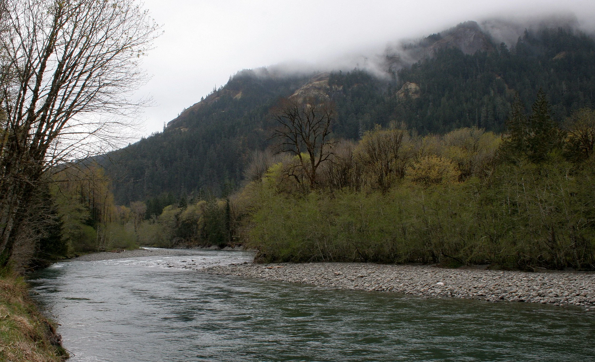 ELWHA RIVER WATERSHED (4).JPG