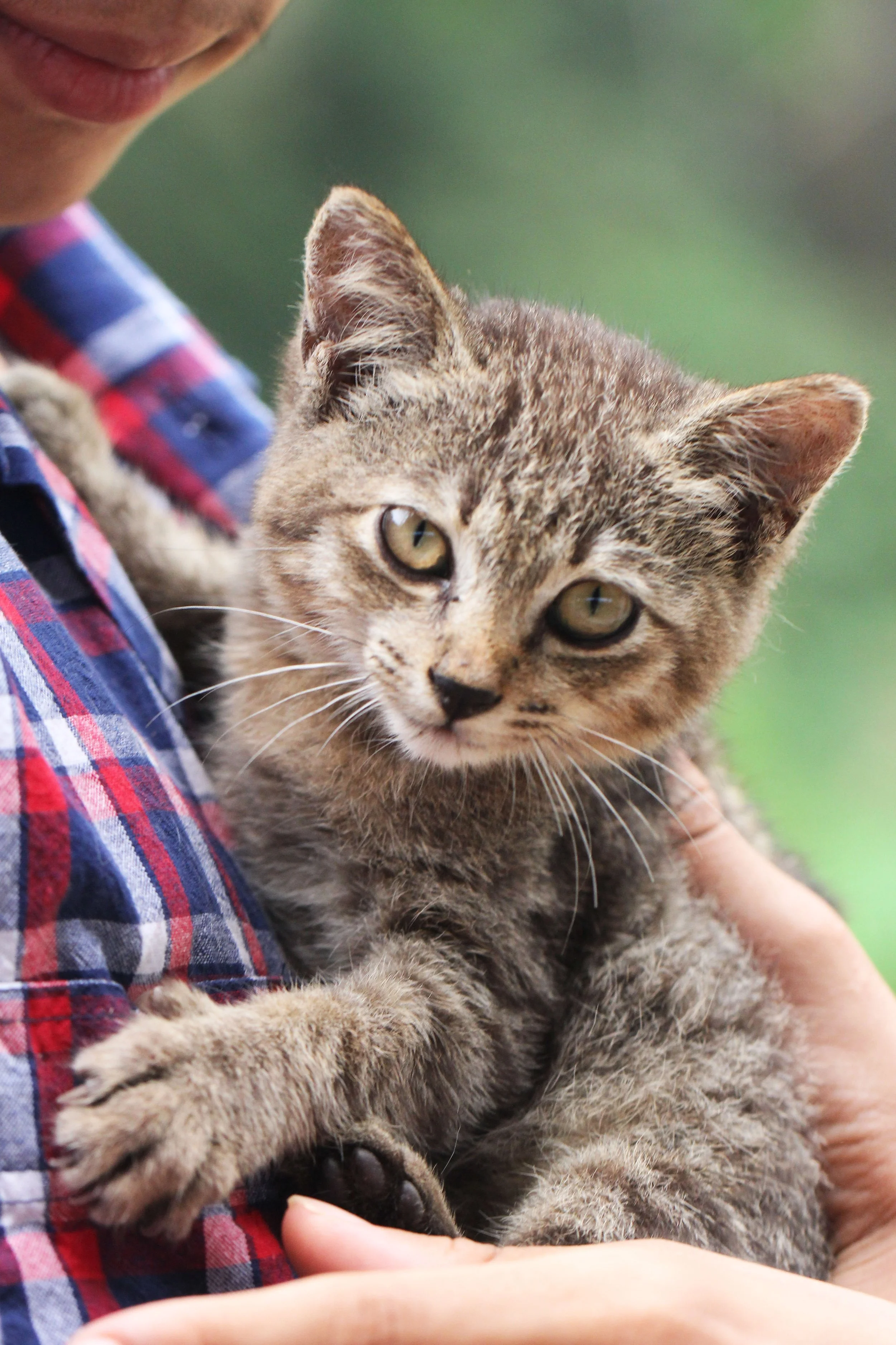 2015 Koh Lanta October Break Trip  (267).JPG