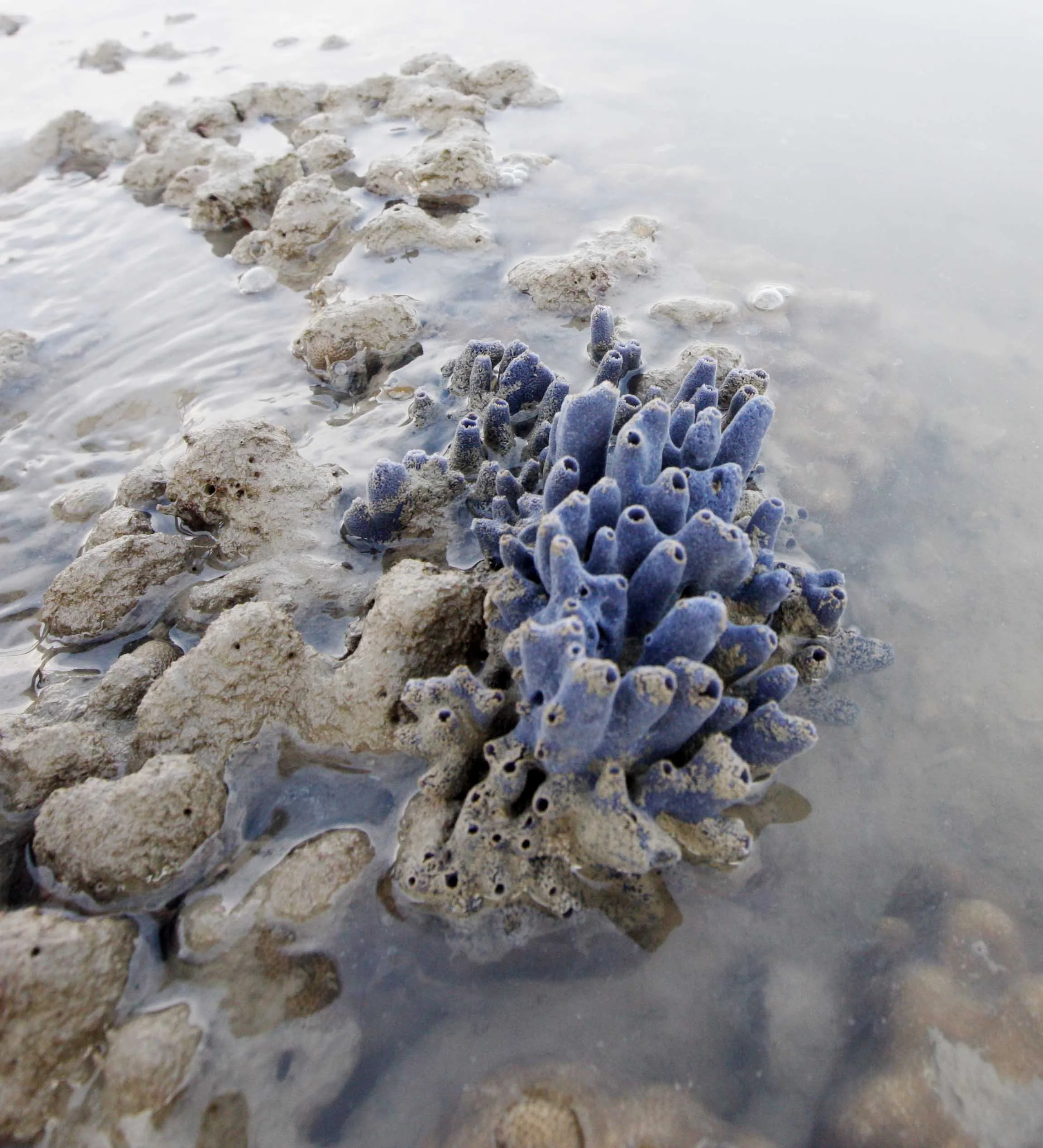 2015 Koh Lanta Songkran with friends from ISB (251).JPG