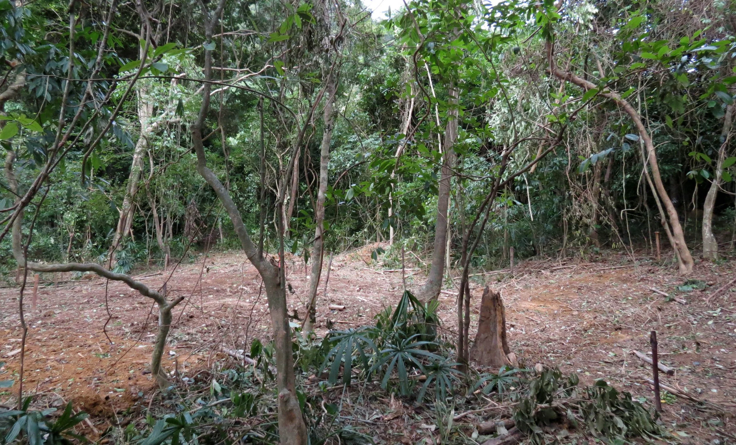 2014 Koh Lanta Build (16).JPG