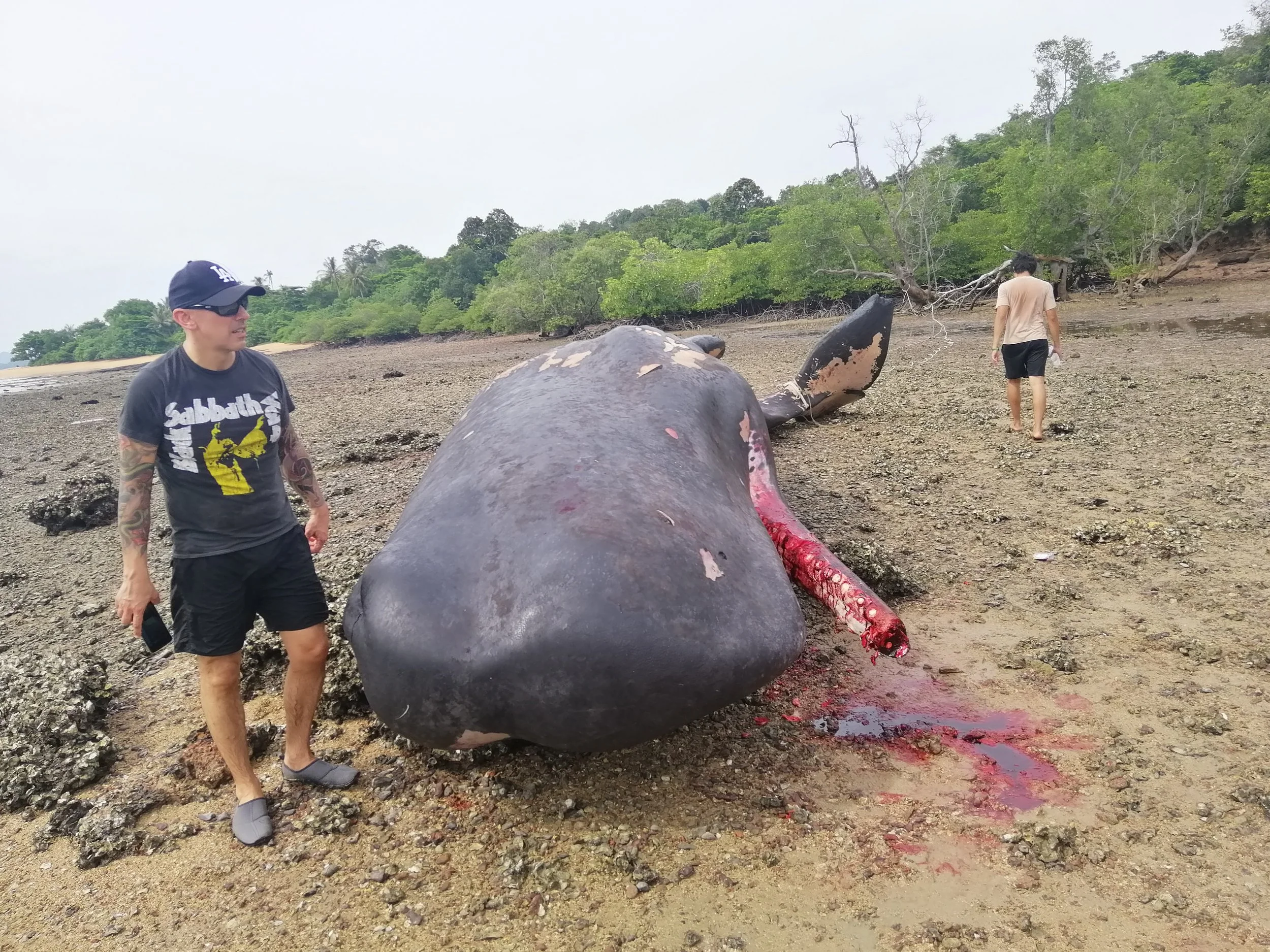 2019 Koh Lanta Dead Sperm Whale Summer Trip (8).jpg