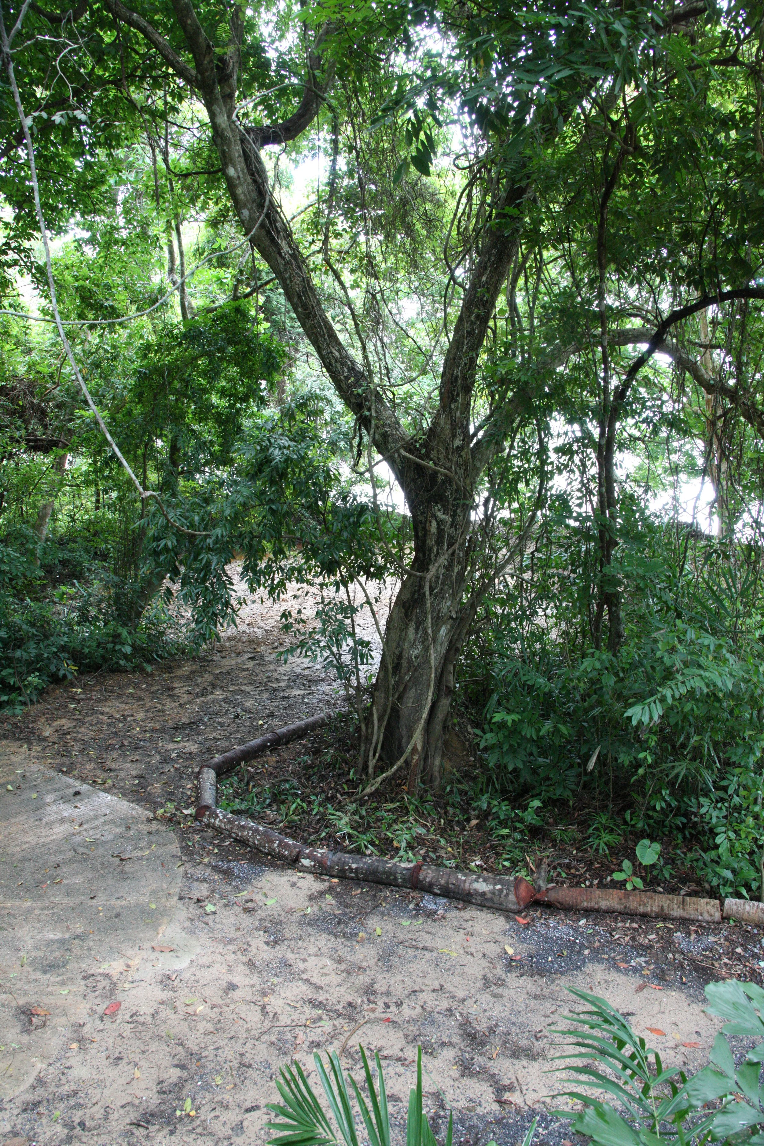 2016 Koh Lanta Landscapes, House Pictures and Family Fun (417).JPG