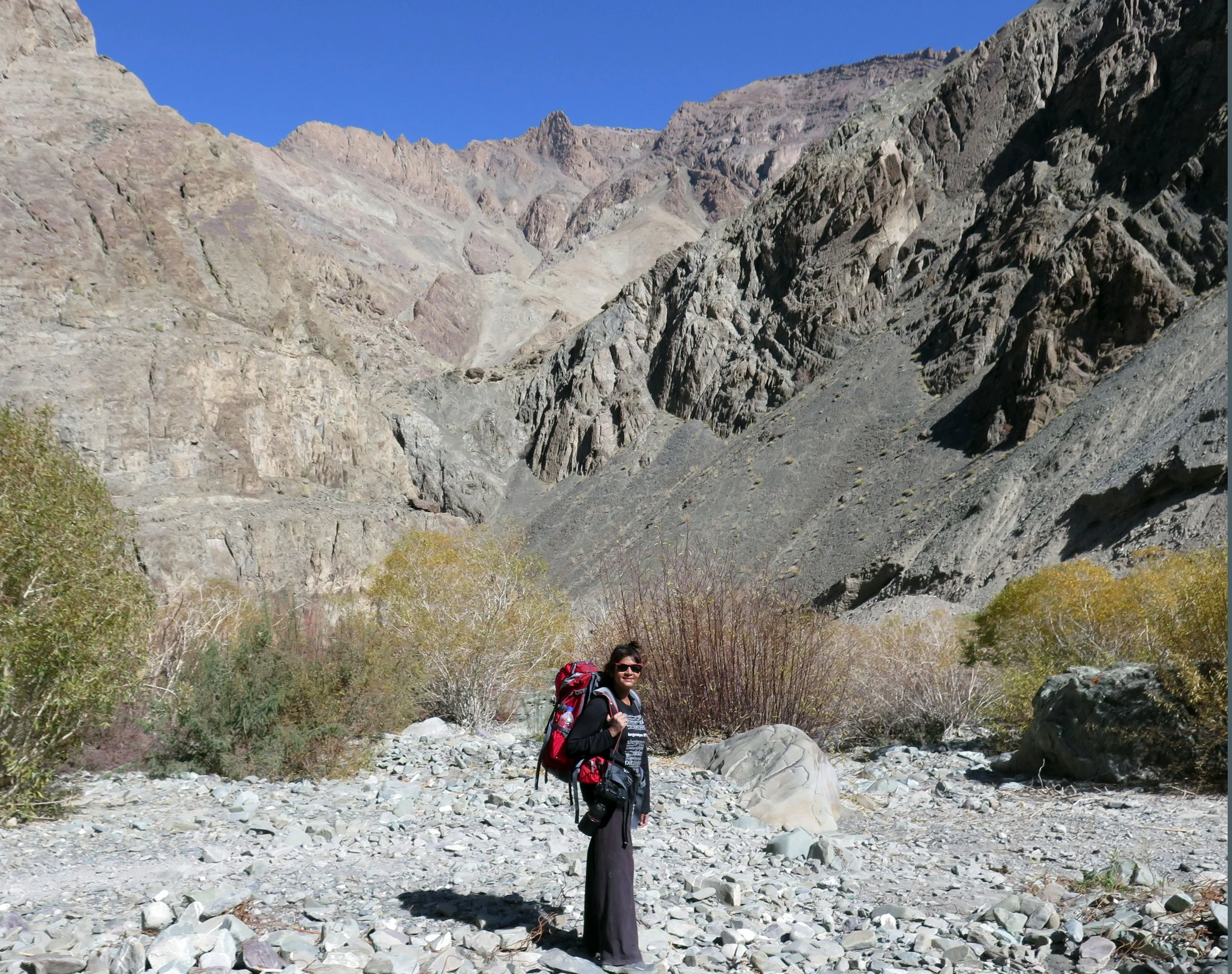 HEMIS NATIONAL PARK - LADAKH INDIA - JAMMU & KASHMIR NEAR RUMBAK VILLAGE (524).JPG