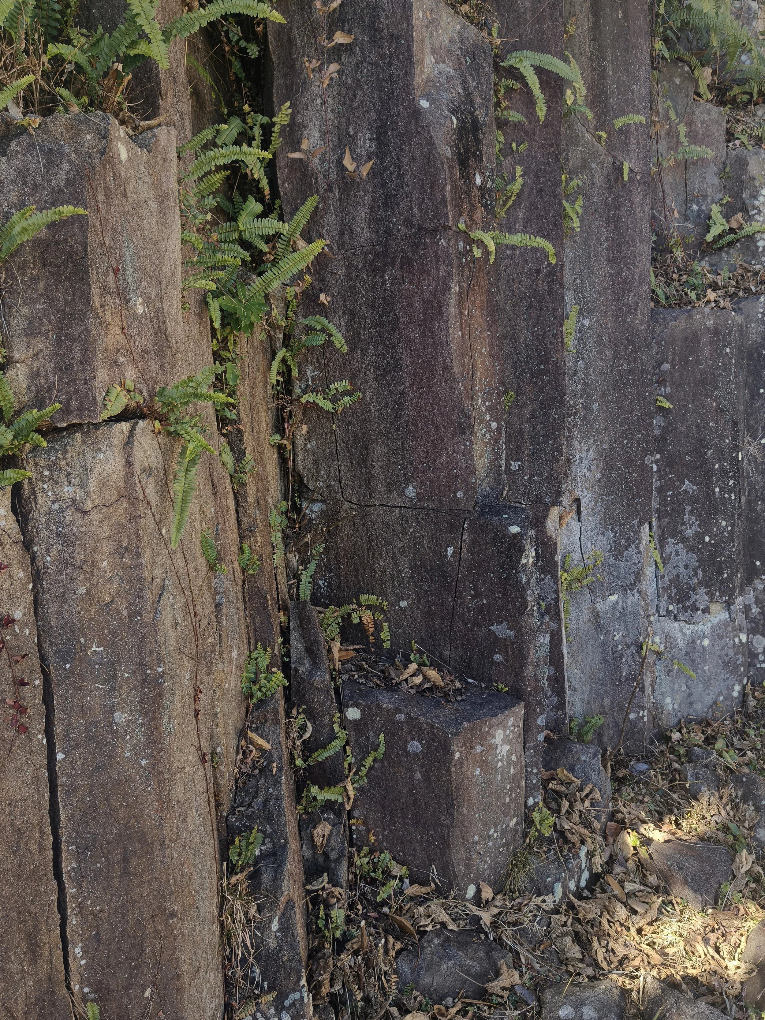 Cape Hyuga, Miyzazki, Umagase Kyushu (52).jpg