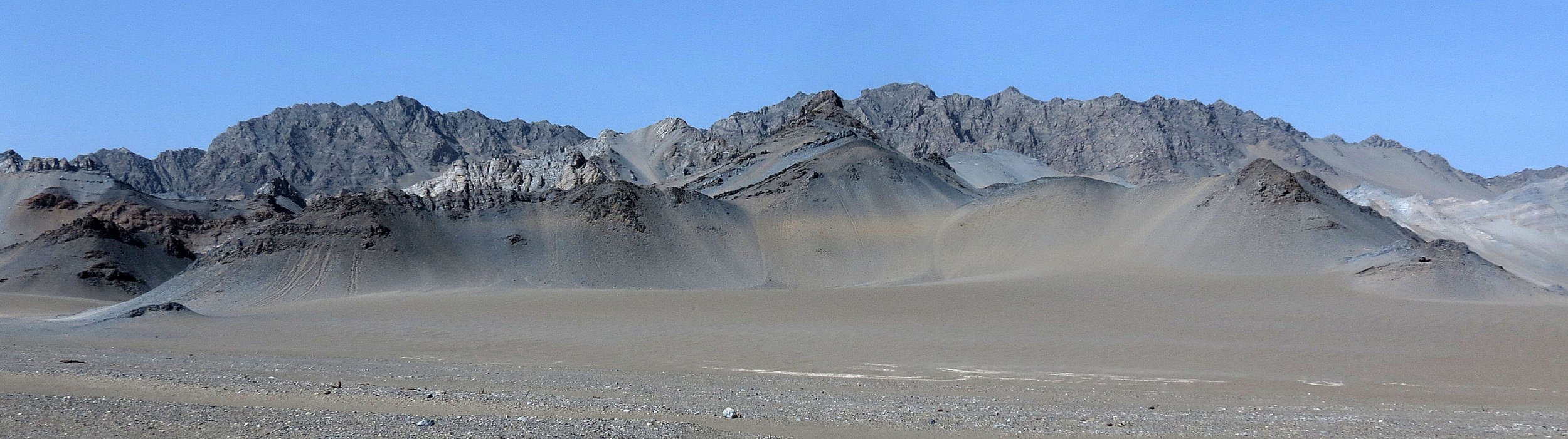 LOP NUR WILD BACTRIAN CAMEL RESERVE - XINJIANG CHINA (29).JPG