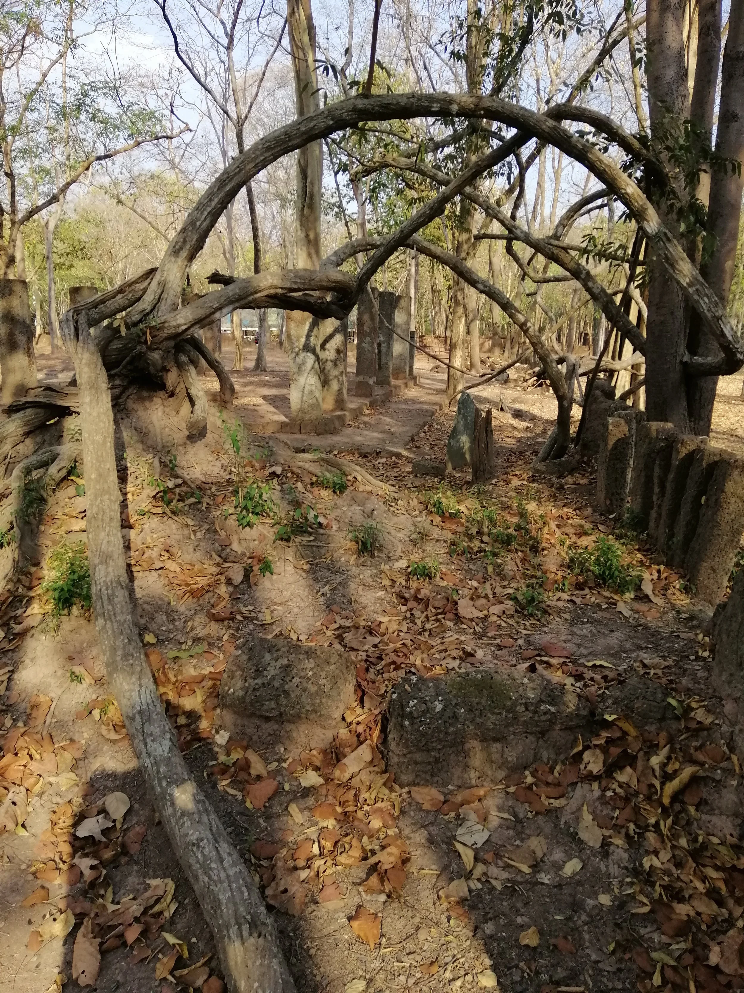 The Kamphaeng Phet Historical Park includes a specific "Aranyik" area, historically a dense forest where ascetic monks resided in meditation.