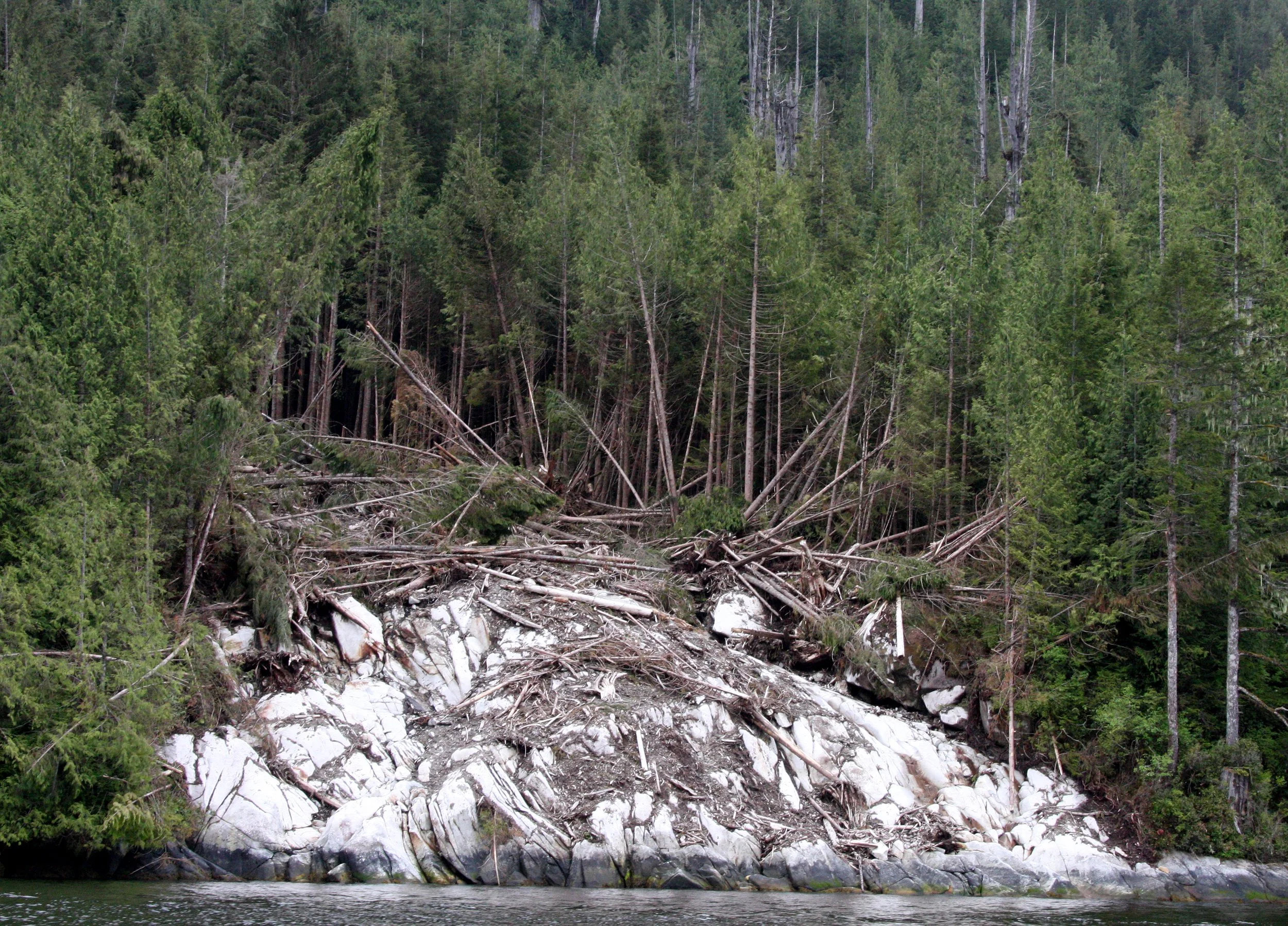 KNIGHT'S INLET BRITISH COLUMBIA - LANDSLIDES (3).JPG
