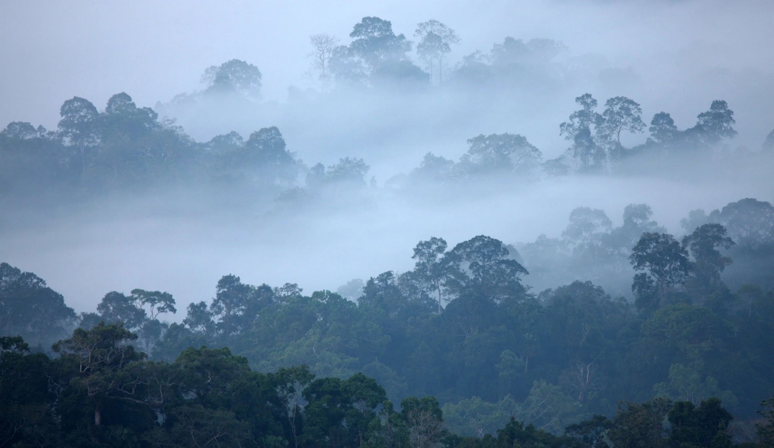 KAENG KRACHAN NATIONAL PARK THAILAND - THALE MOG (1).JPG