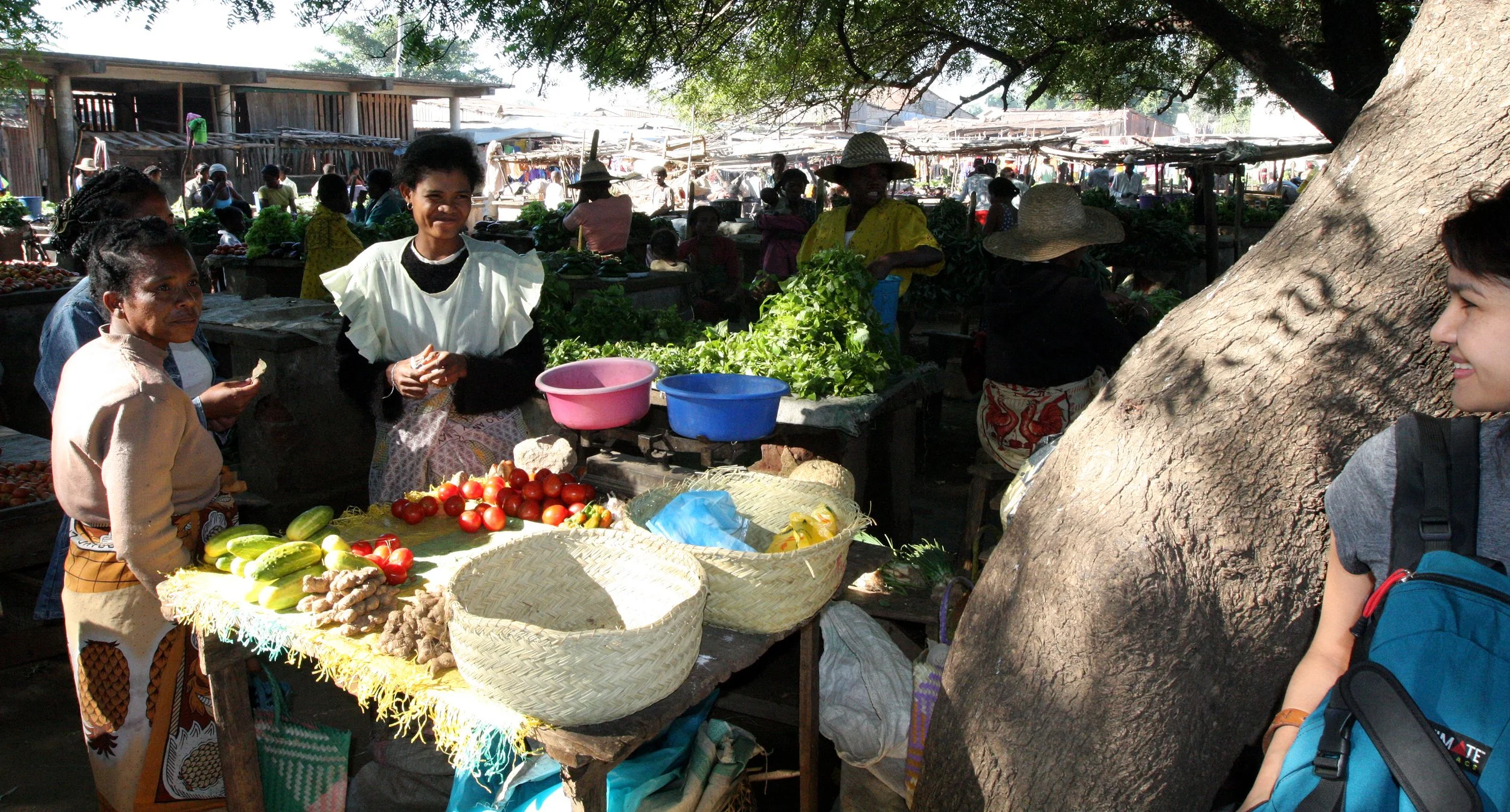 ANTANDROY VILLAGE - MARKET DAY (33).JPG