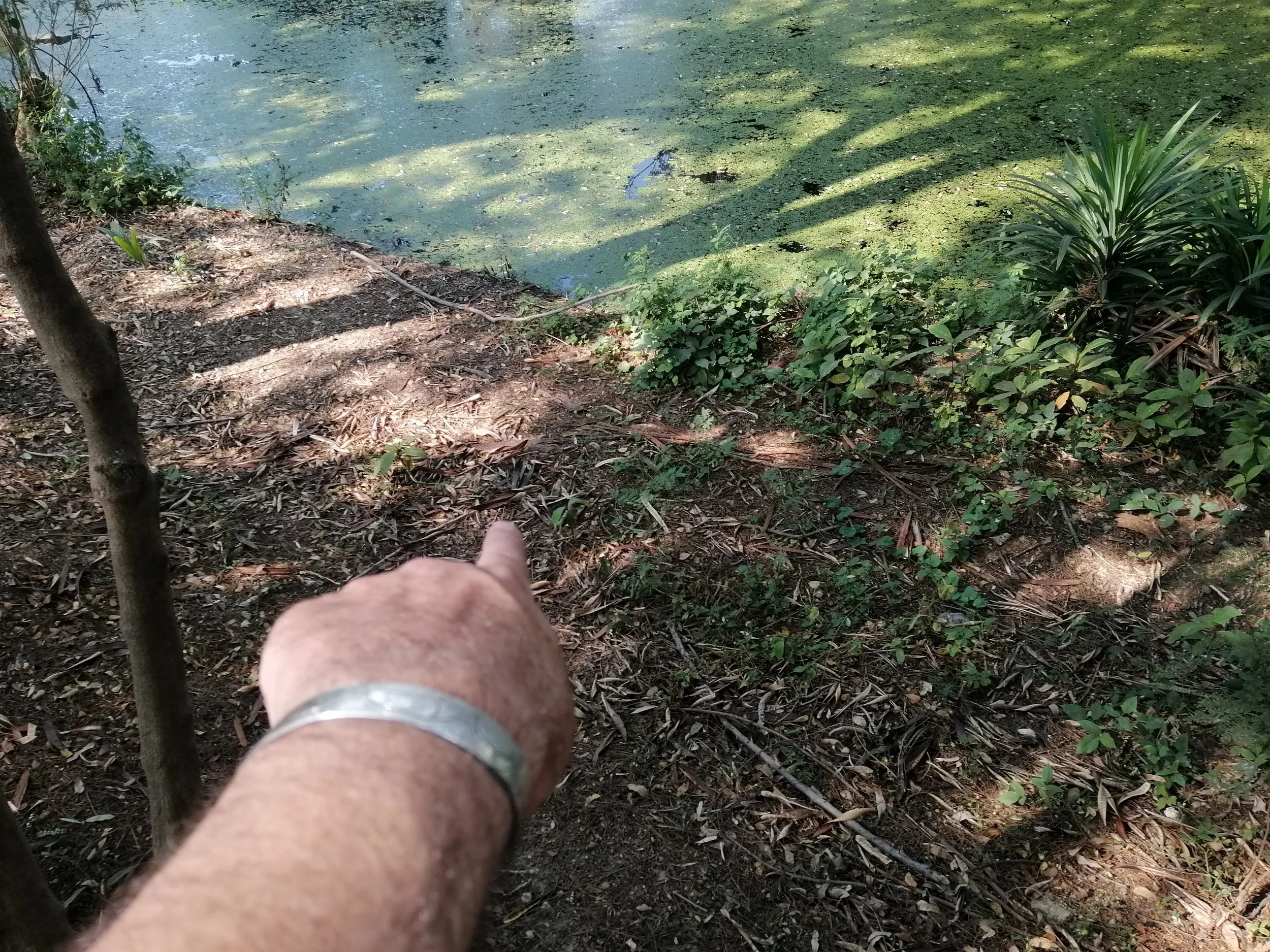 IMG_20190129_102136.jpg