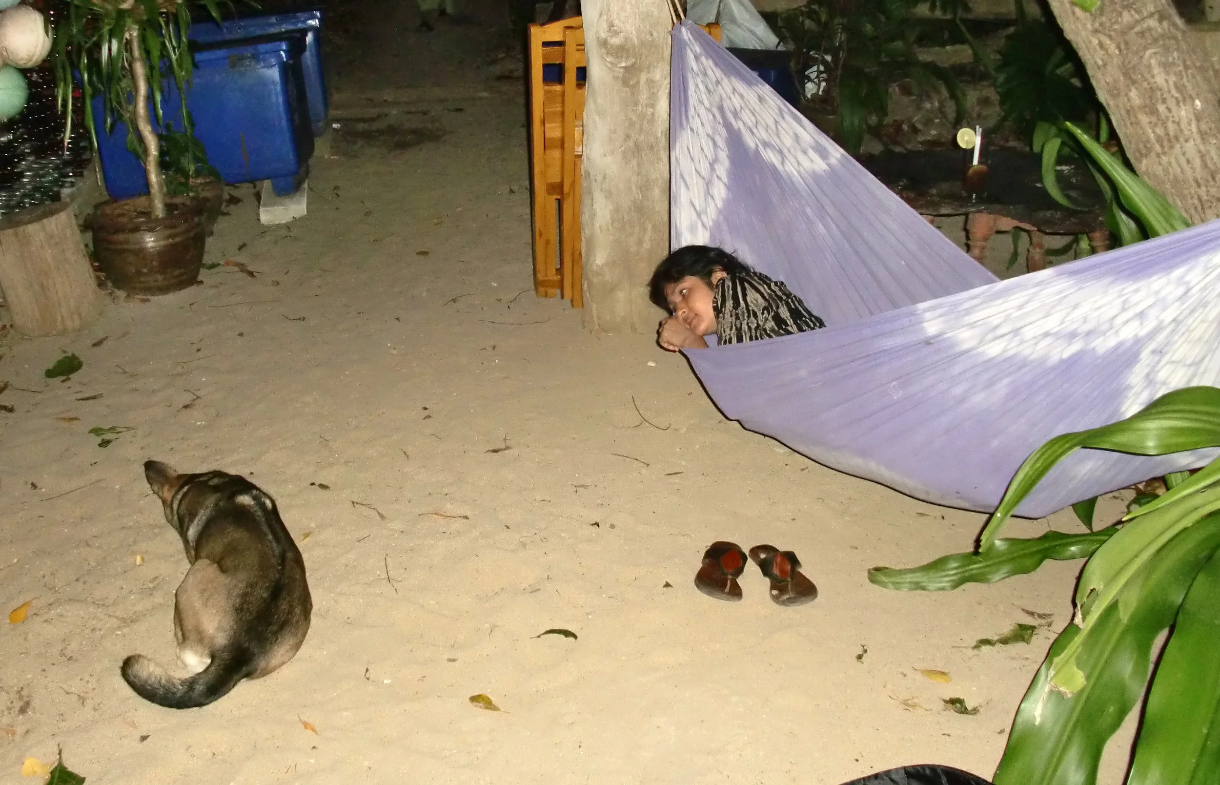 LANTA ISLAND - WINTER 2011 (42).JPG