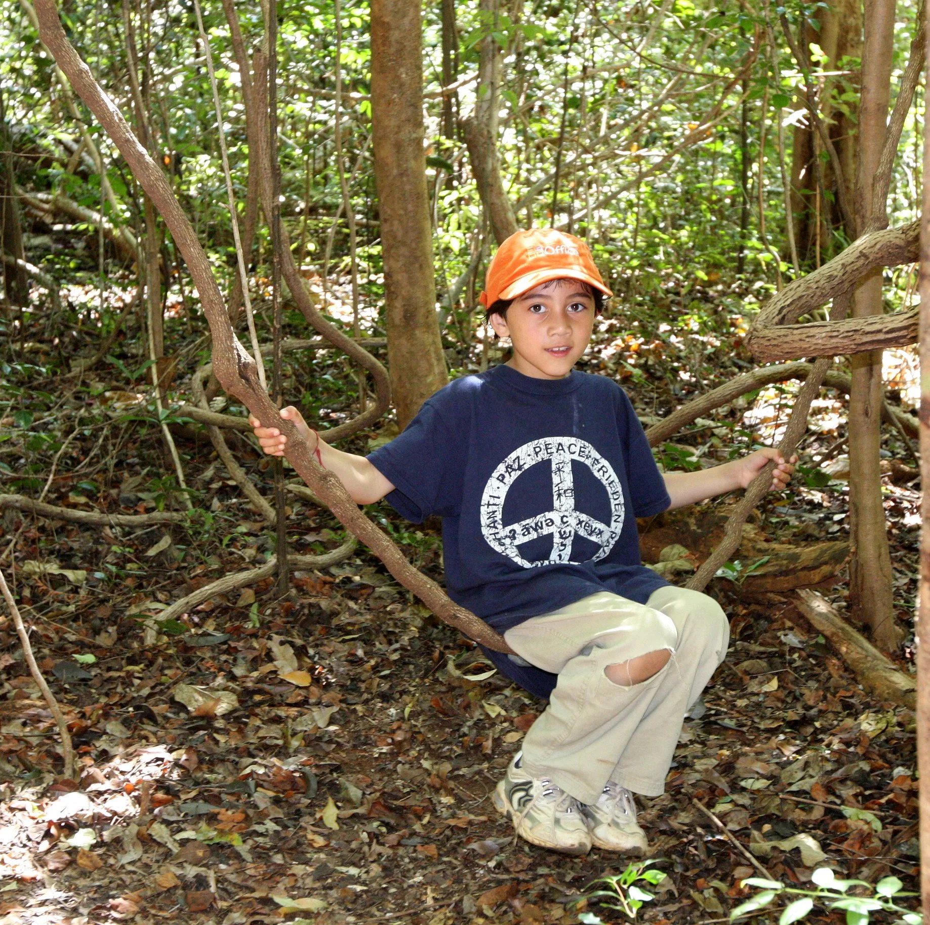 ANKARANA NATIONAL PARK MADAGASCAR - PLAYING IN THE FOREST.JPG