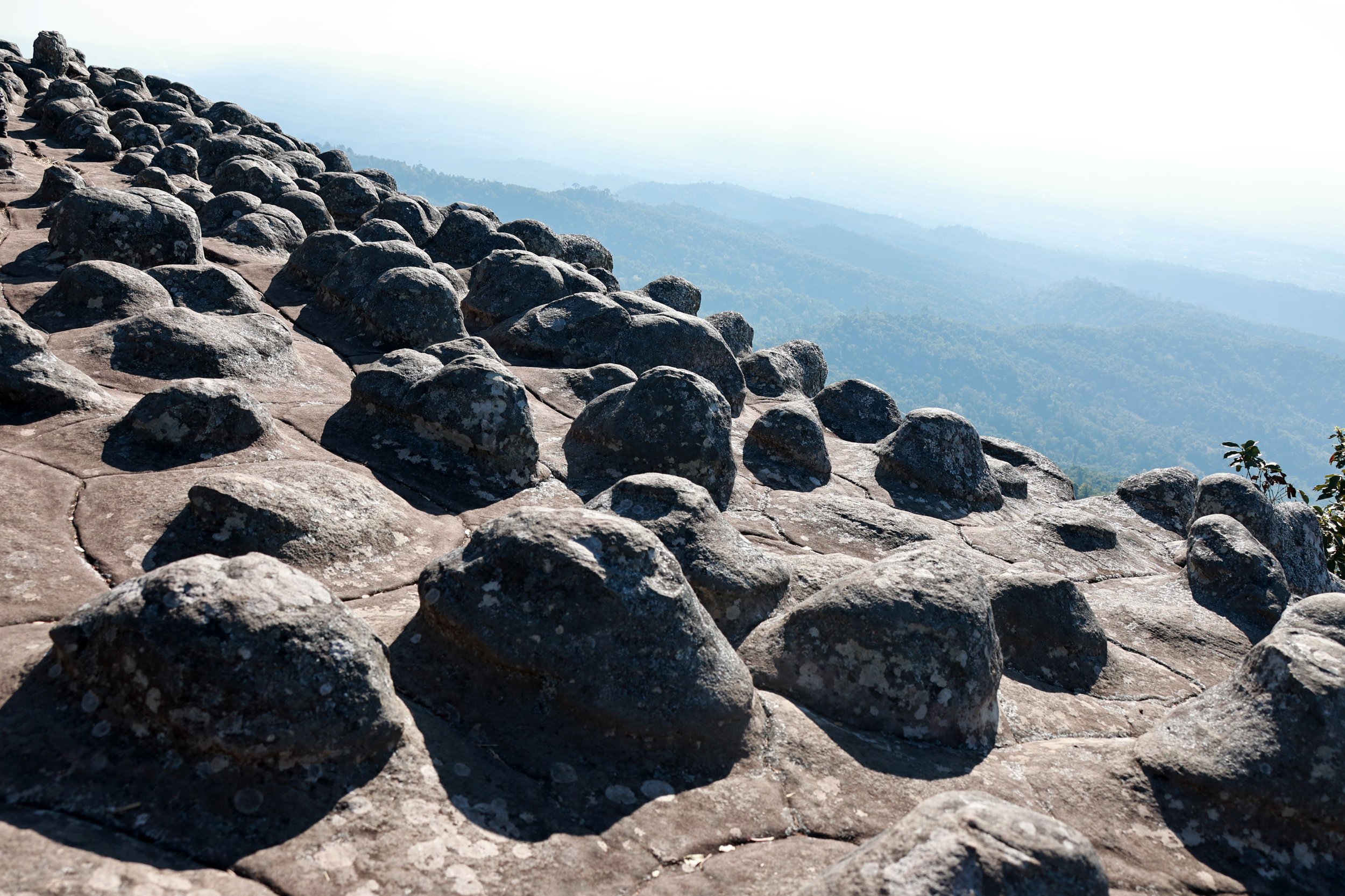 Phu Hin Rong Kla National Park Loei Province (117).jpg