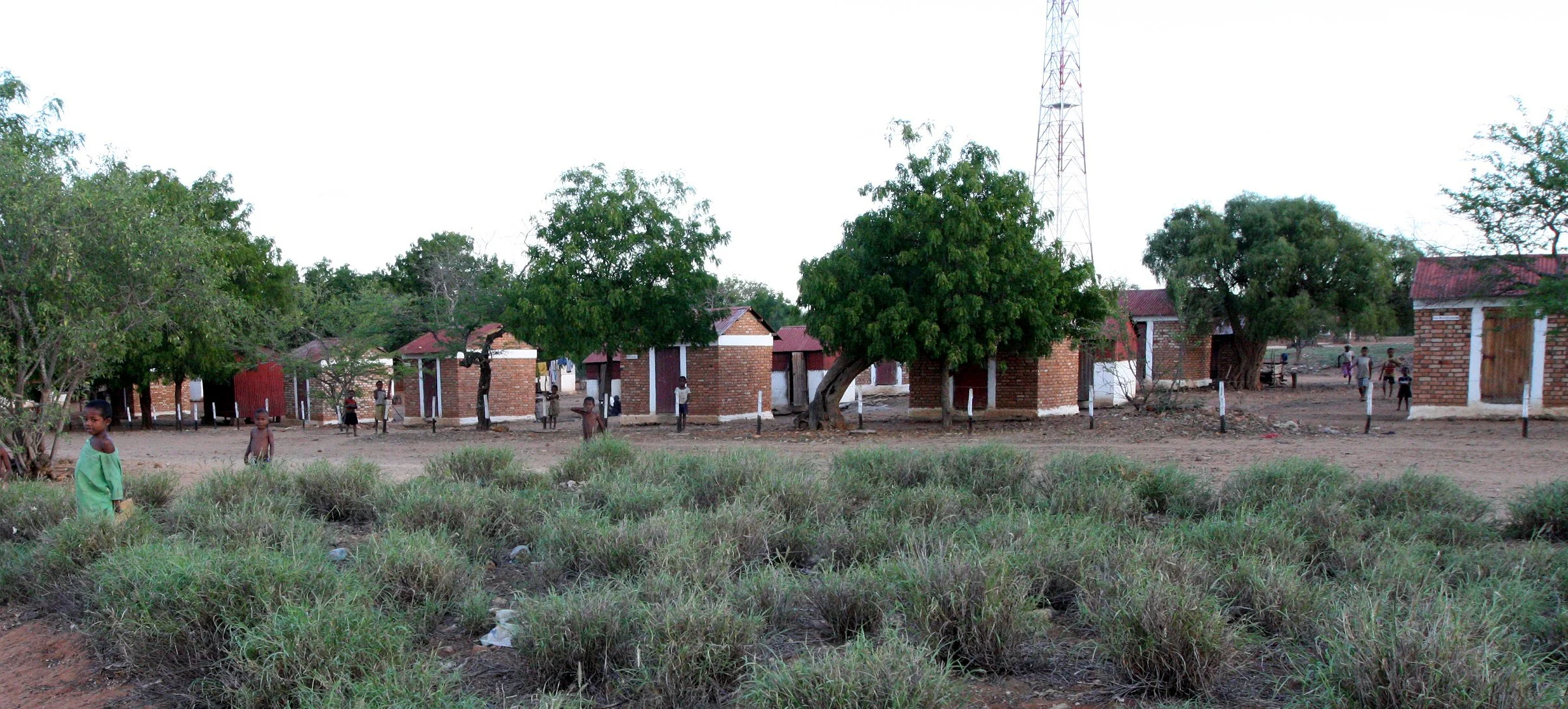 BERENTY RESERVE MADAGASCAR - AGAVE SISLANA PLANTATION (3).JPG
