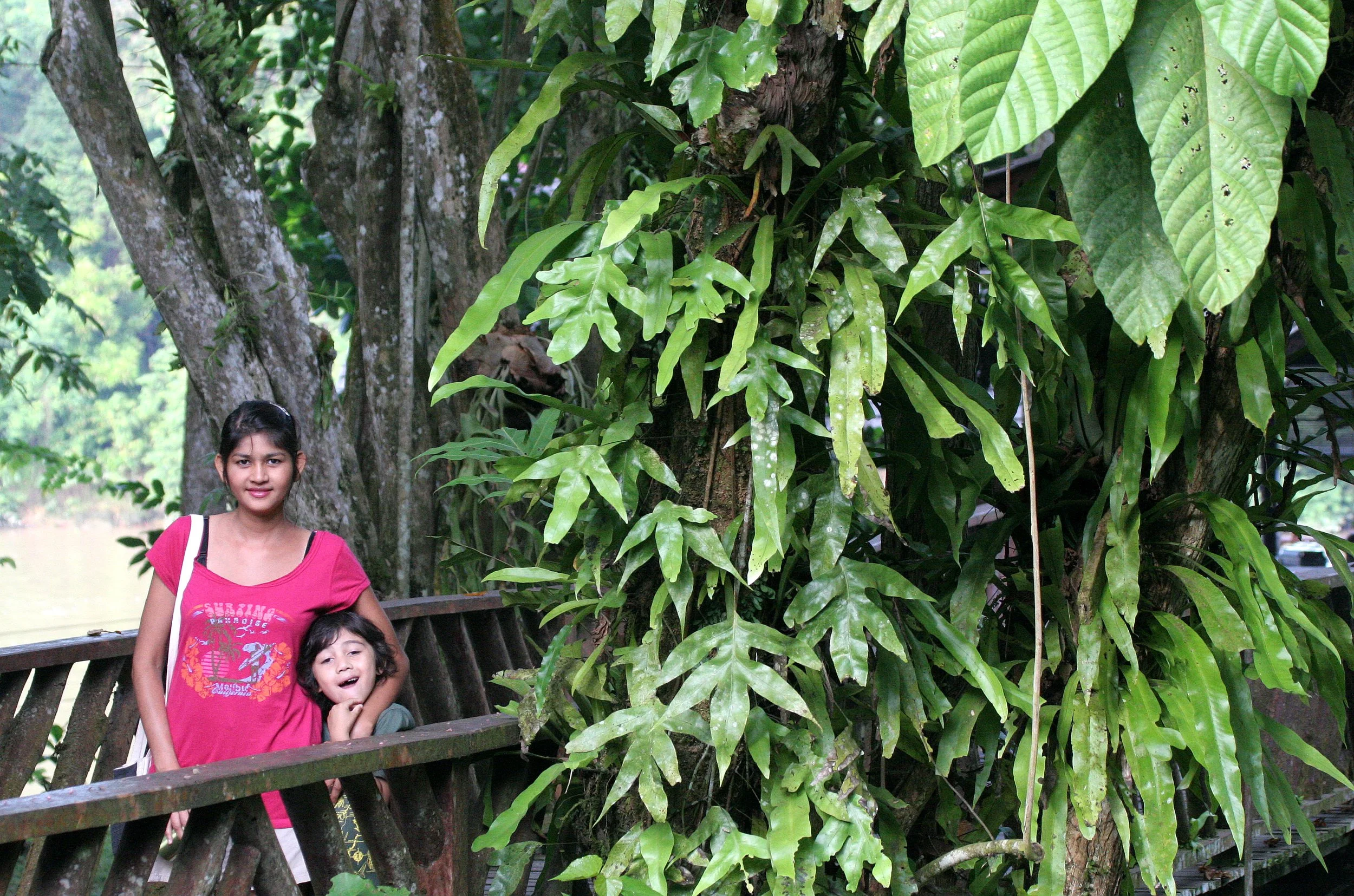 KINABATANGAN RIVER BORNEO - POSSING WITH PLANTS (2).JPG