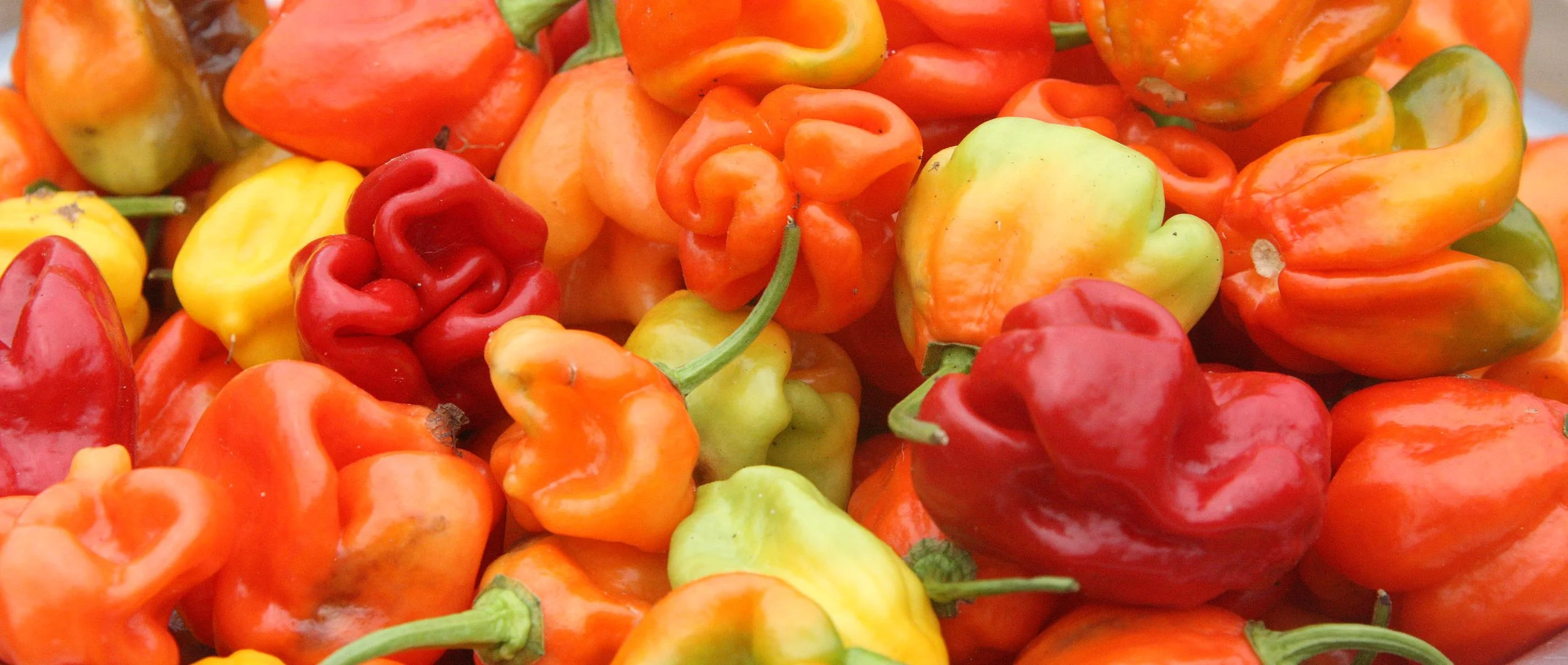 BODA - SOUTHERN AREAS -  CENTRAL AFRICAN REPUBLIC (11).JPG