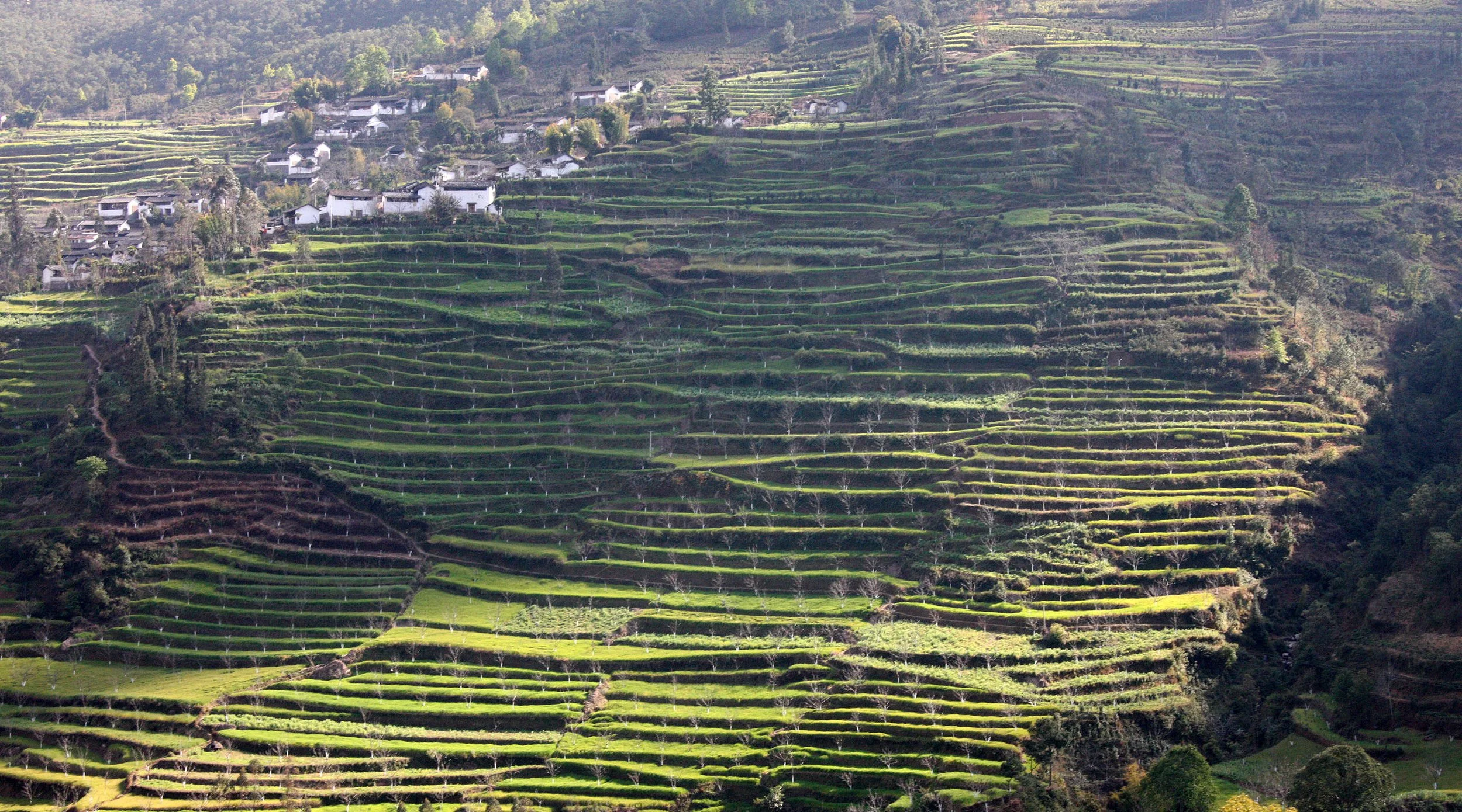 YUNNAN - NANJIAN TOWN AND SURROUNDING REGION (66).JPG