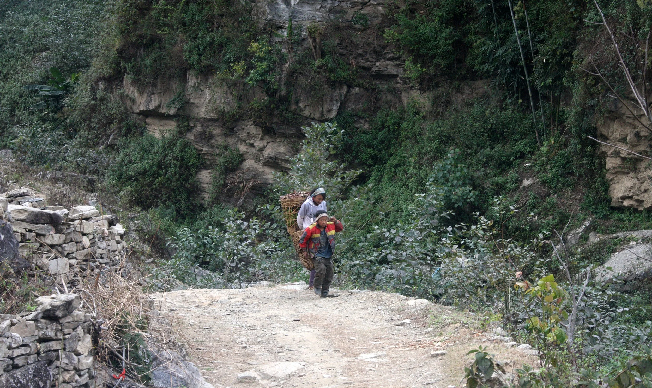 YUNNAN - WULIANGSHAN NATURE RESERVE AND SURROUNDING REGION (43).JPG