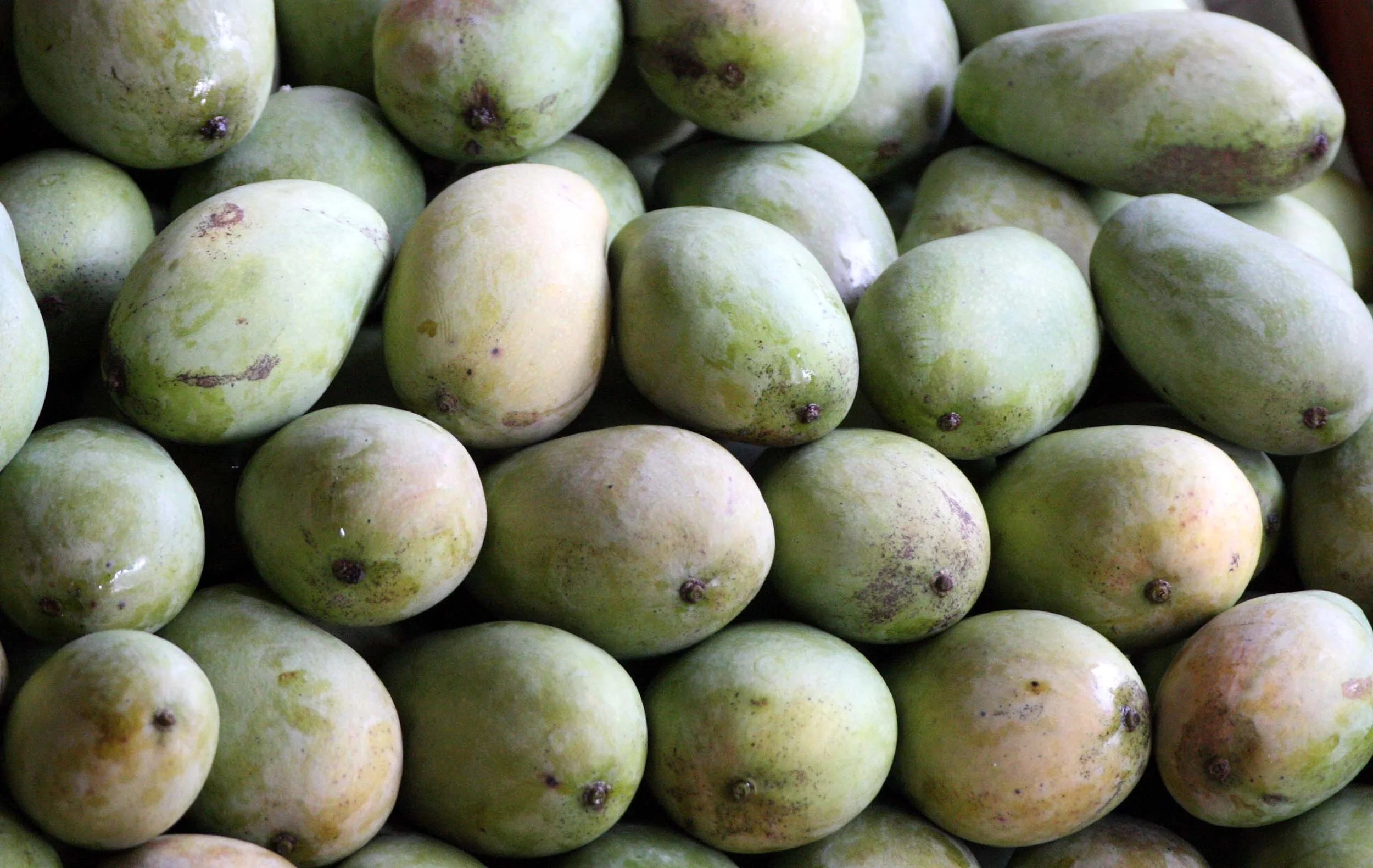 2008 Damnoen Saduak Floating Market Day Trip (93).JPG