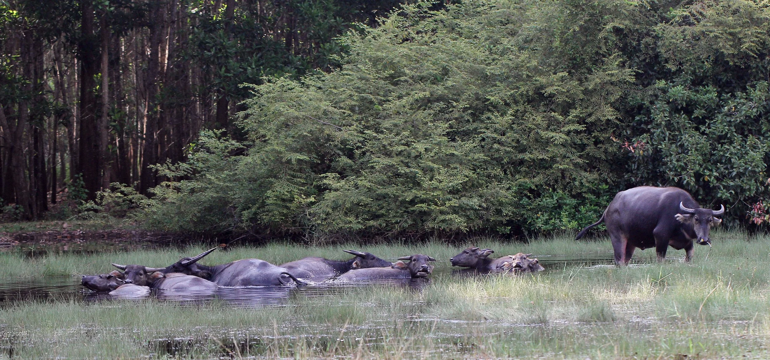 2015 Koh Lanta October Break Trip  (54).JPG