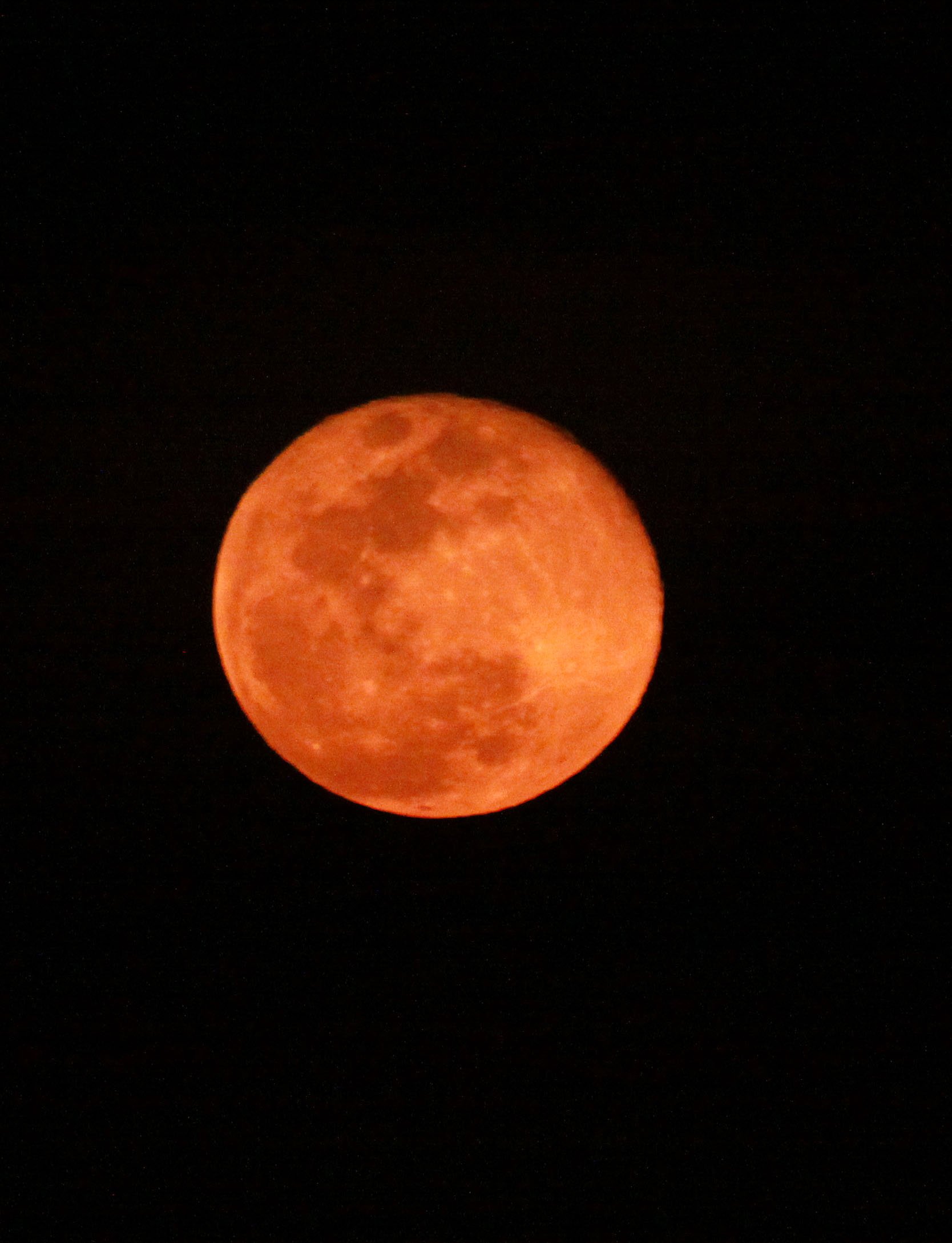 NYUNGWE NATIONAL PARK RWANDA (567).JPG