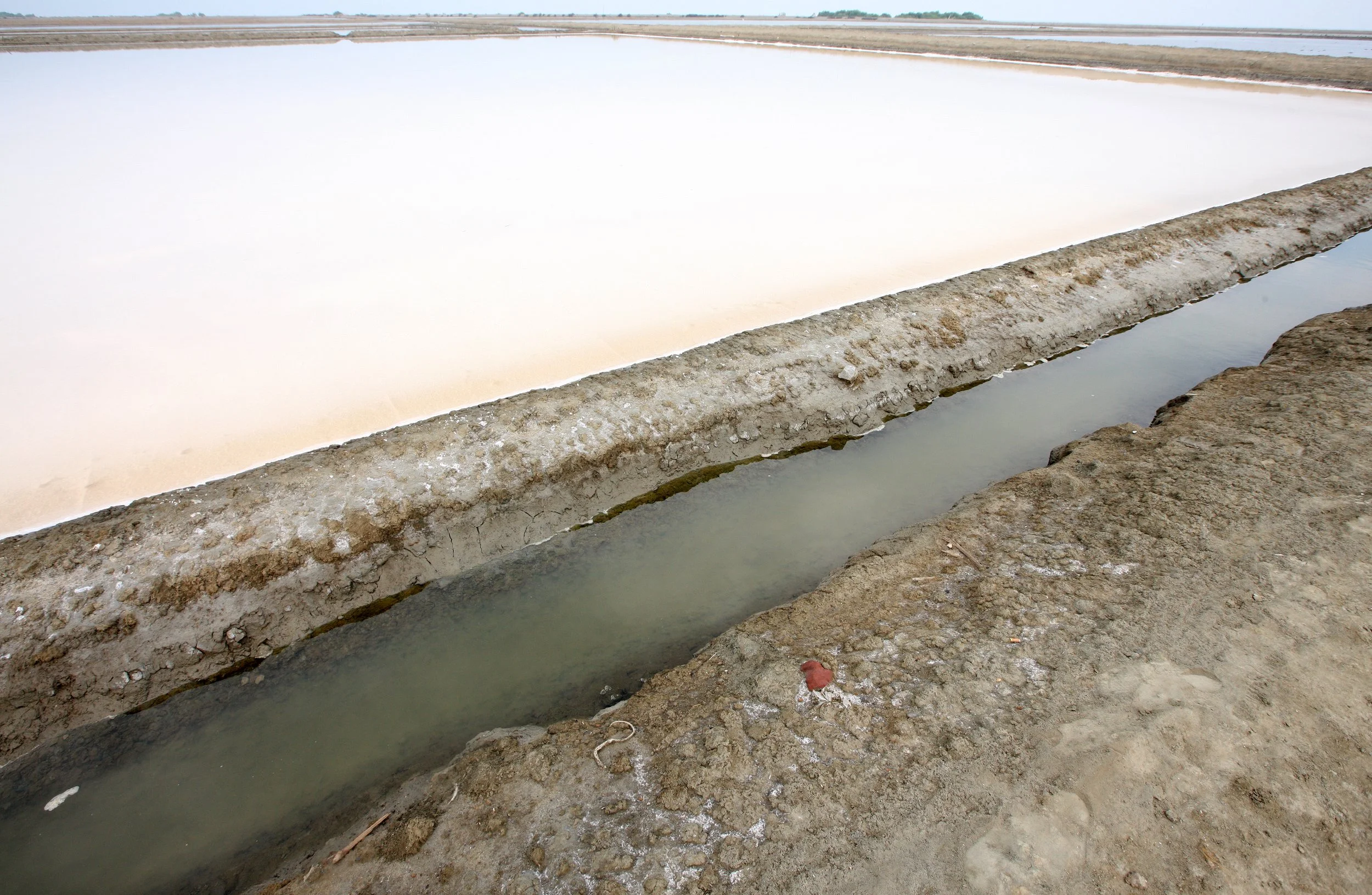 2011 Pak Thale Salt Ponds (5).JPG