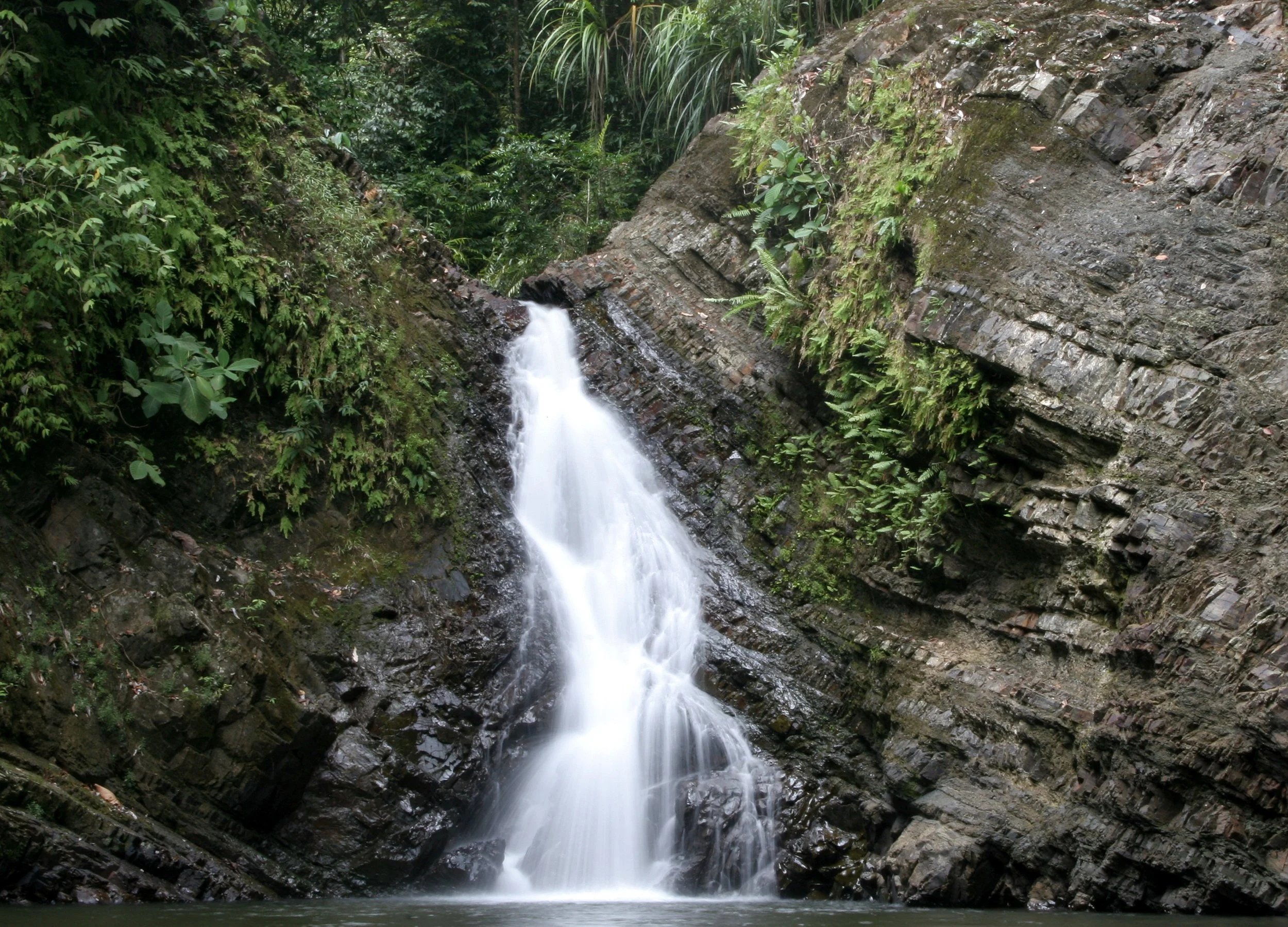 TABIN WILDLIFE RESERVE BORNEO - TABIN FALLS AND SWIMMING HOLE (19).JPG