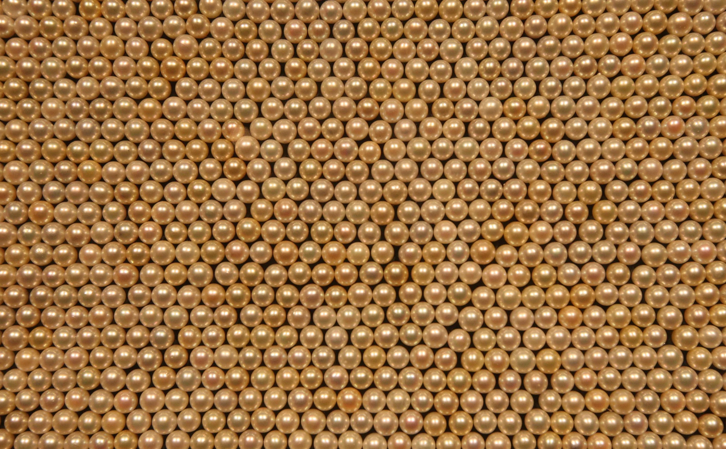 MIKIMOTO PEARL ISLAND AND MUSEUM - TOBA JAPAN (21).JPG