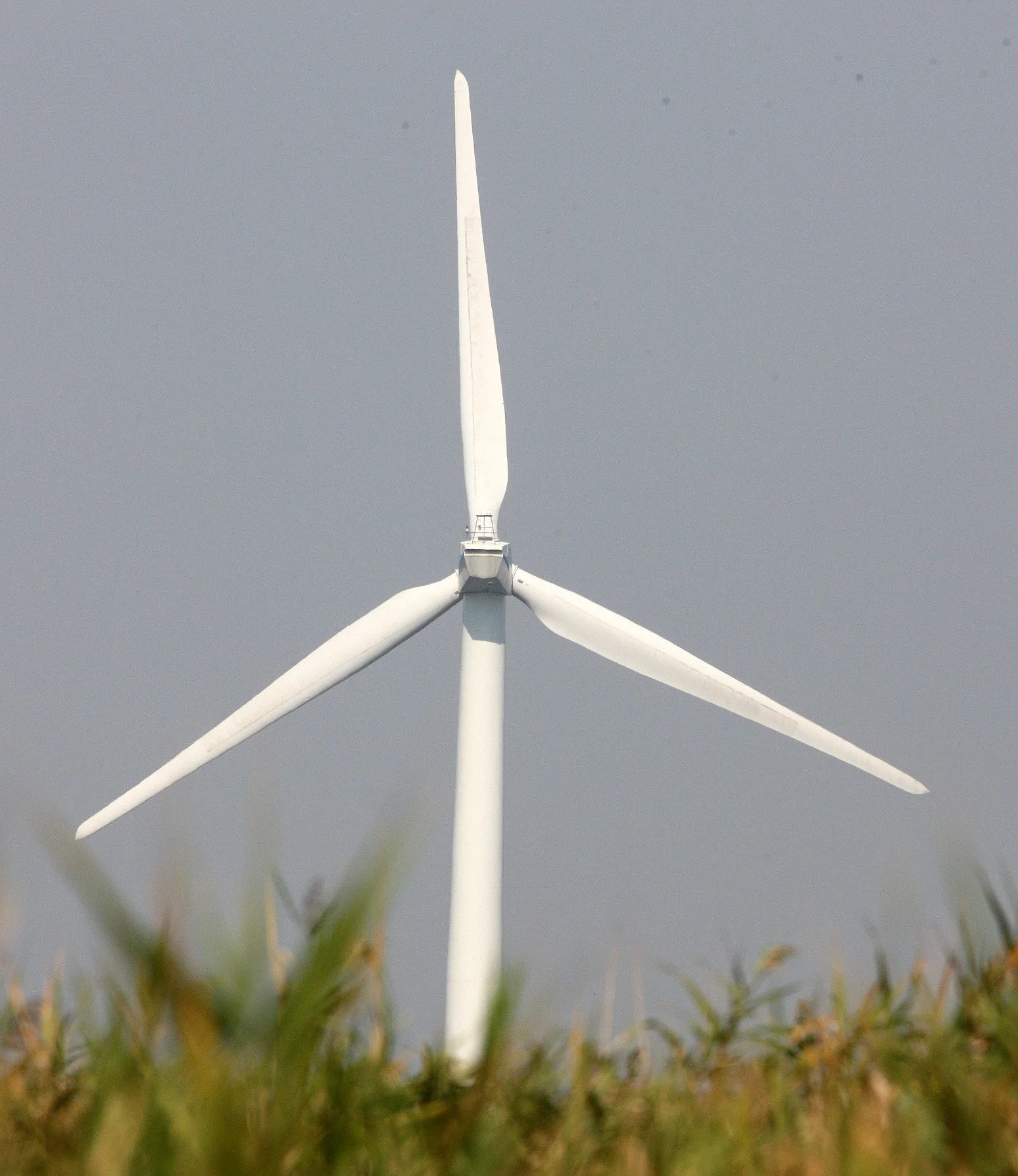 CHONGMING ISLAND - DONGTAN WETLANDS RESERVE - WINDFARMS (3).JPG