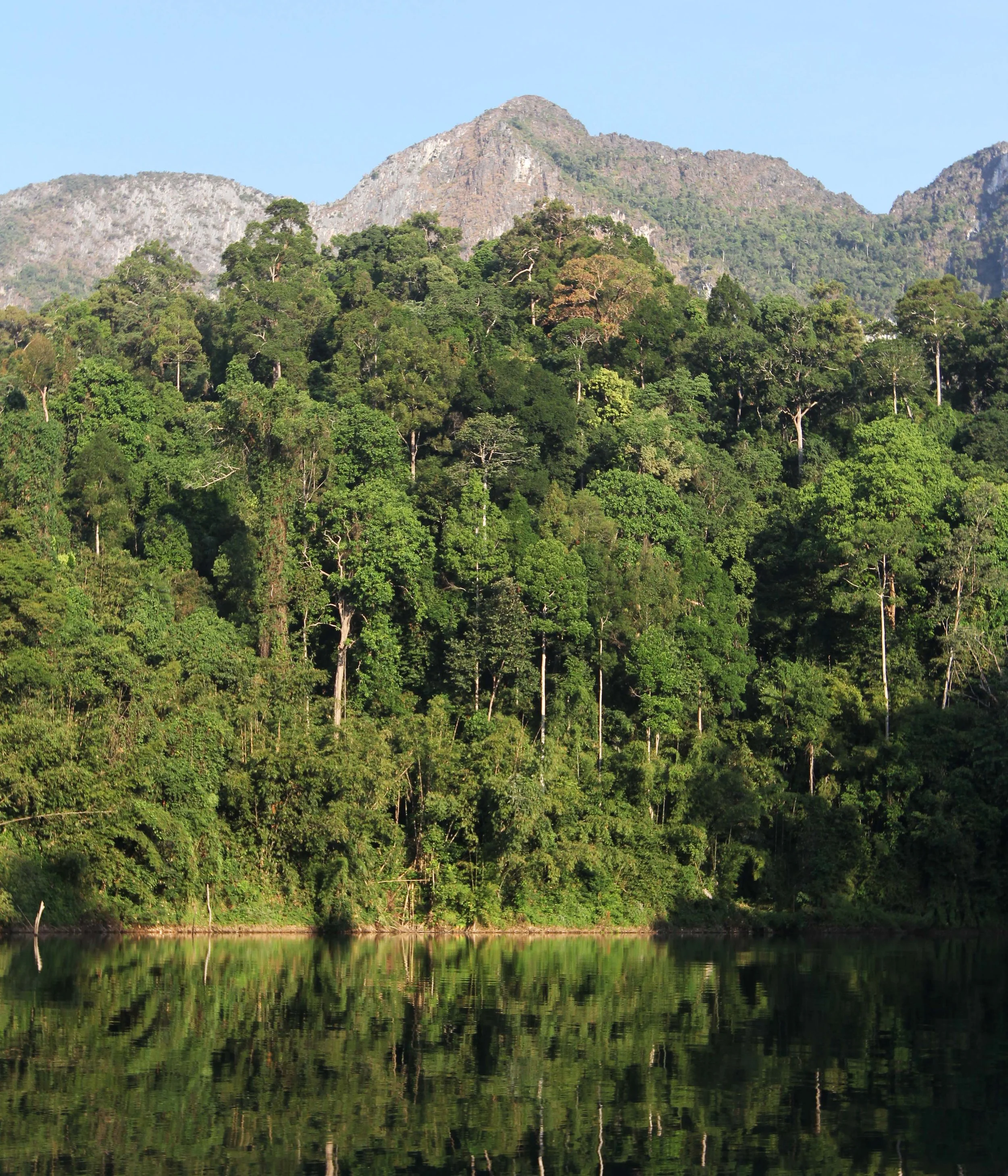 2014 ISB Trip to Khao Sok National Park on the Lake (115).JPG