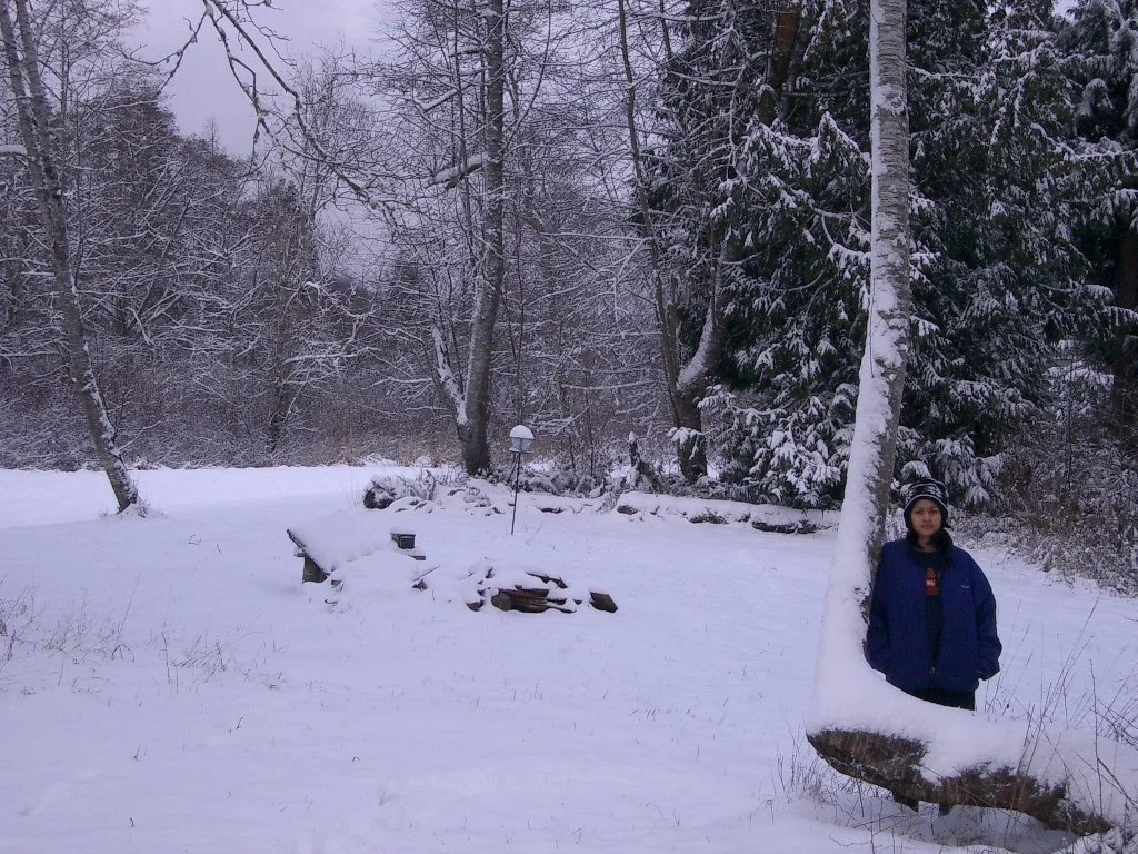 2004-1-3 LAKE FARM IN SNOW (9).JPG