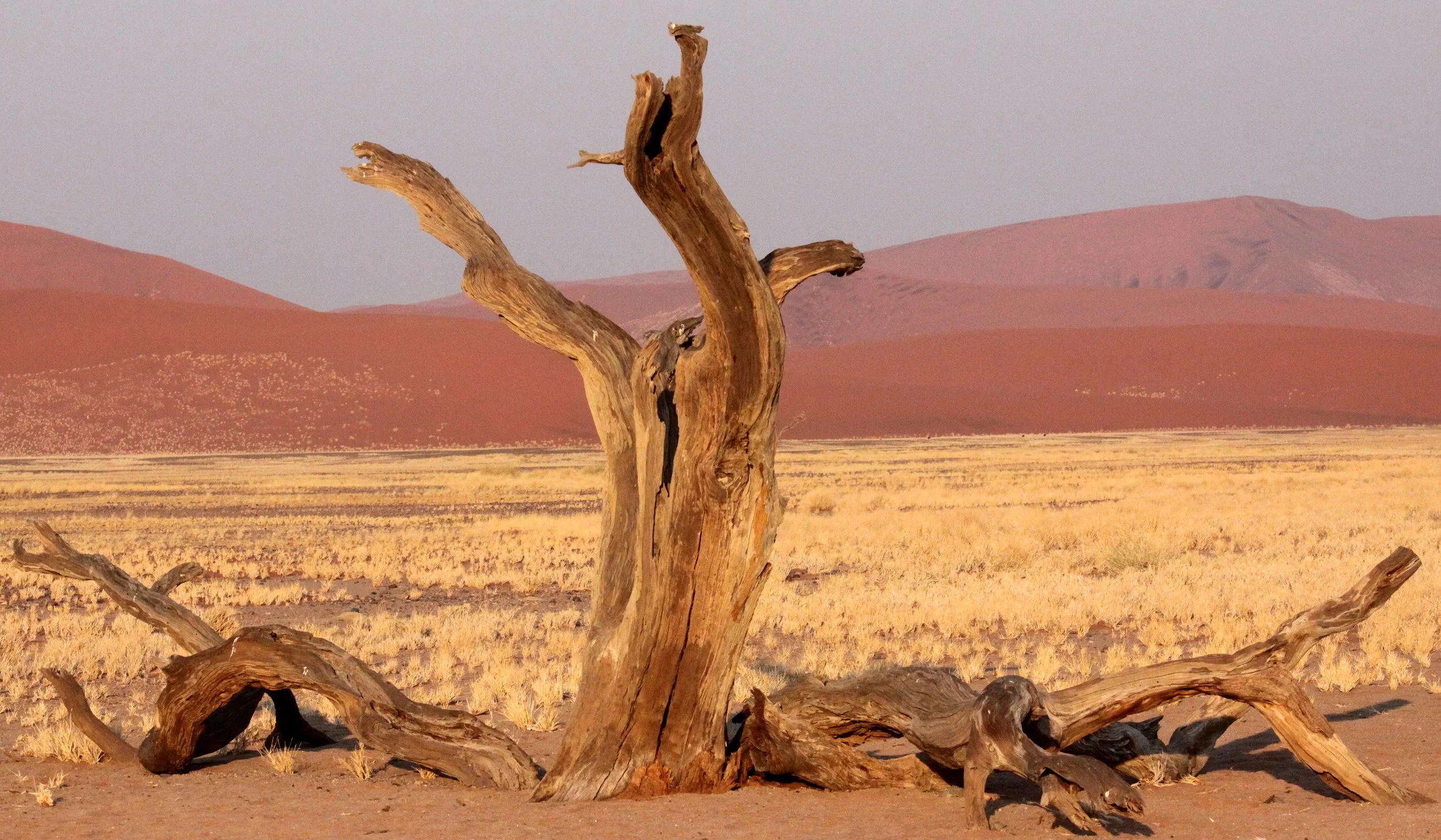 SOSSUSVLEI, NAMIB NAUKLUFT NATIONAL PARK, NAMIBIA - SESREIM VIEWS (8).JPG