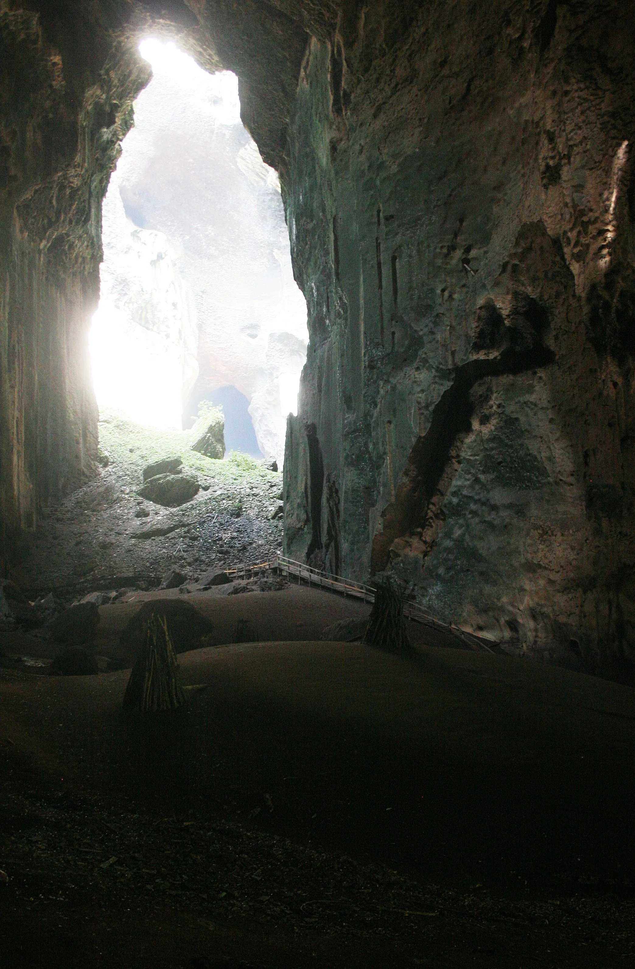 GAMONTONG CAVES BORNEO (16).JPG