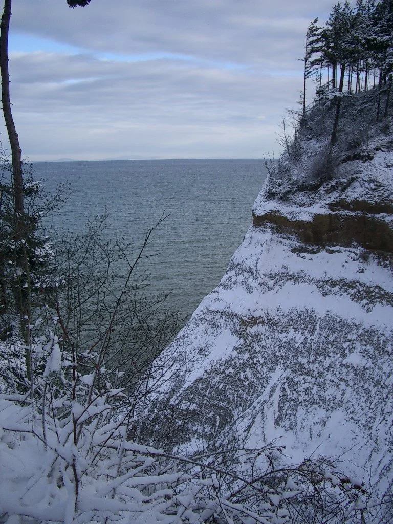 2004-1-3 LAKE FARM IN SNOW (22).JPG