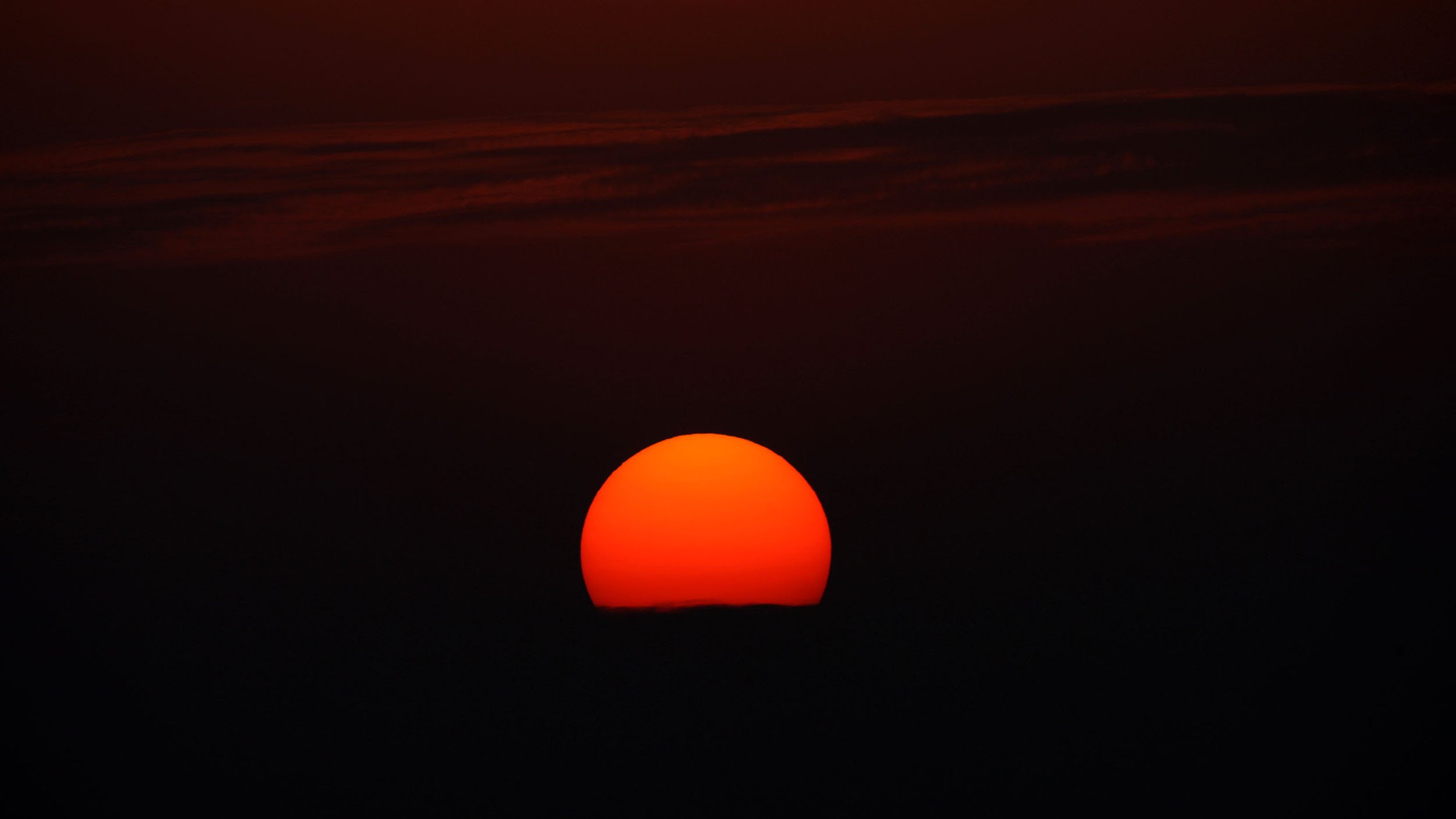 NANJI HILL RESERVE - POYANG LAKE CHINA (12).JPG