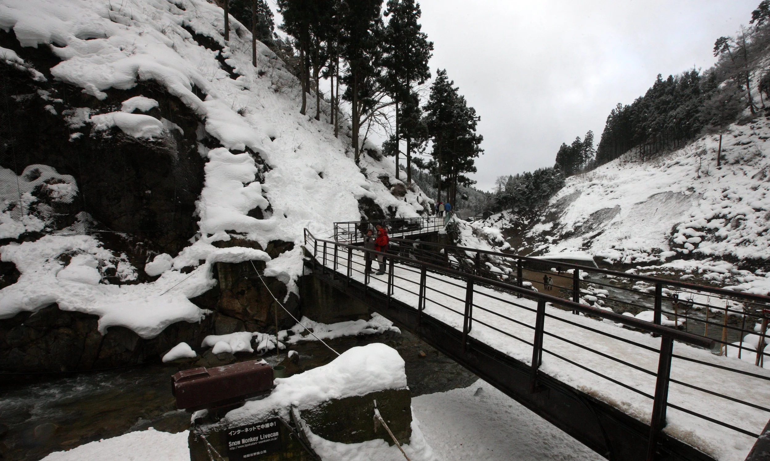 JIGOKUDANI ONSEN - NAGANO PREFECTURE JAPAN (5).JPG