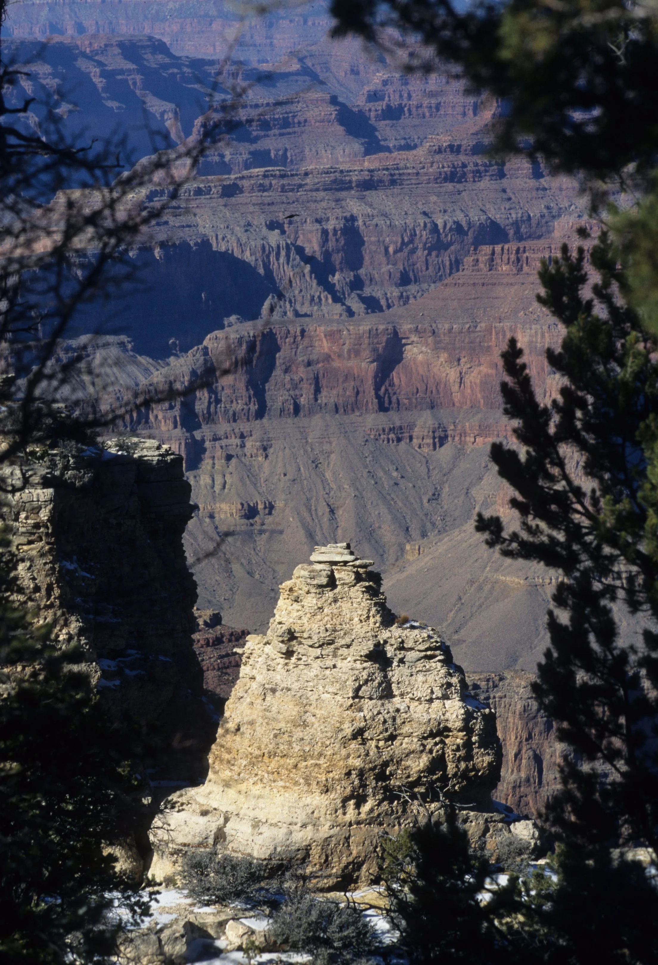 ARIZONA - GRAND CANYON - SOUTH RIM VIEW.jpg