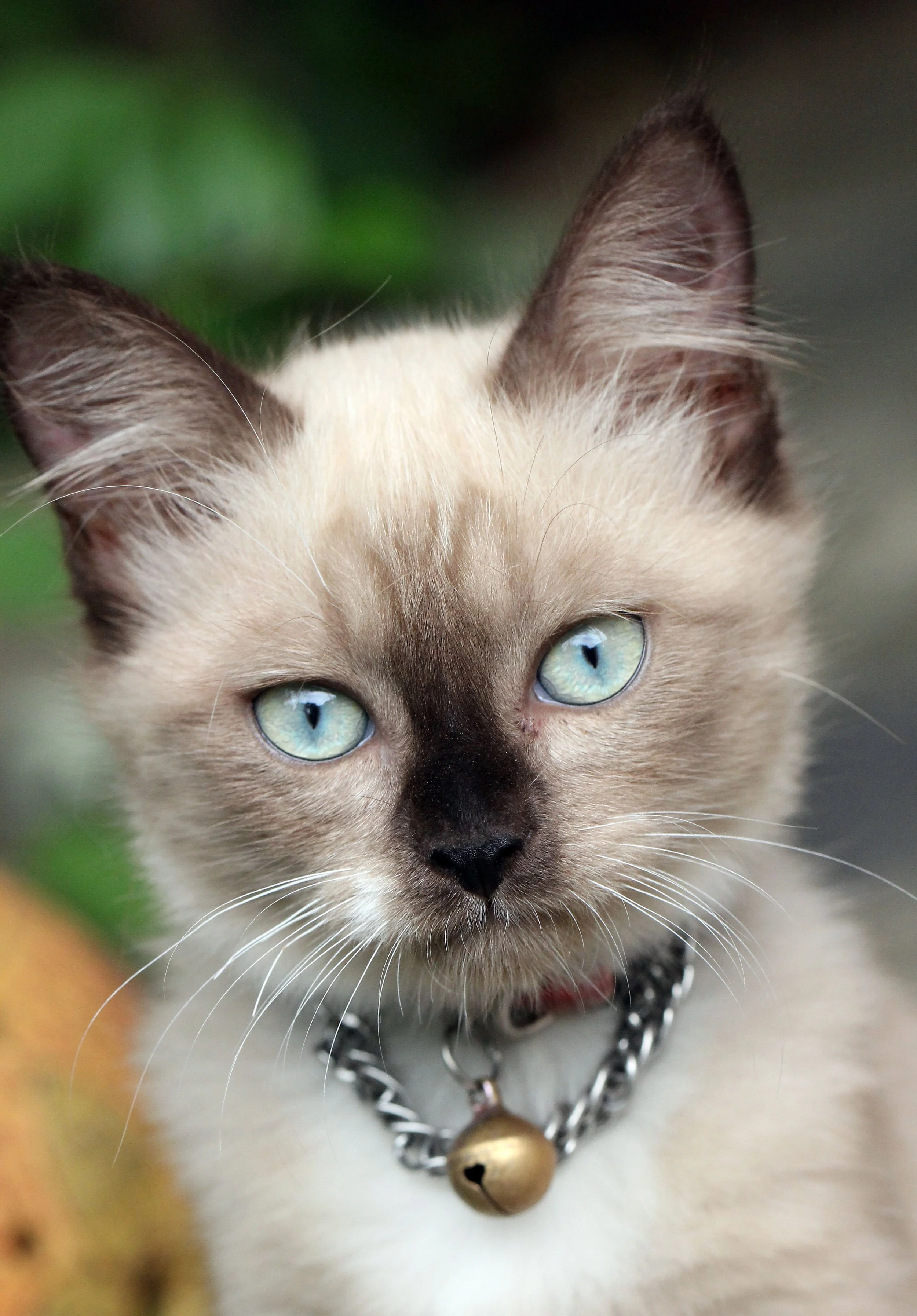 2015 Koh Lanta October Break Trip  (179).JPG