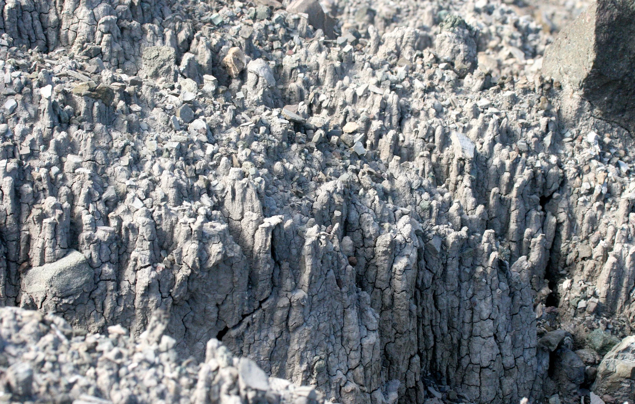 TABIN WILDLIFE RESERVE BORNEO - MUD VOLCANOES (8).JPG