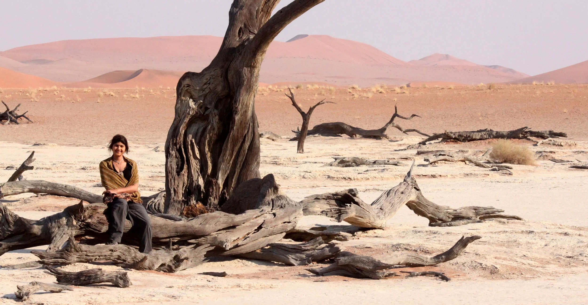 SOSSUSVLEI, NAMIB NAUKLUFT NATIONAL PARK, NAMIBIA - DEAD VLEI (33).JPG